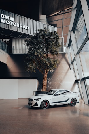 A sleek white car is parked indoors beside a large potted tree. Overhead, the architectural design features large, angular windows allowing natural light to cast shadows. A sign reading 'BMW MOTORRAD' is visible on a balcony.