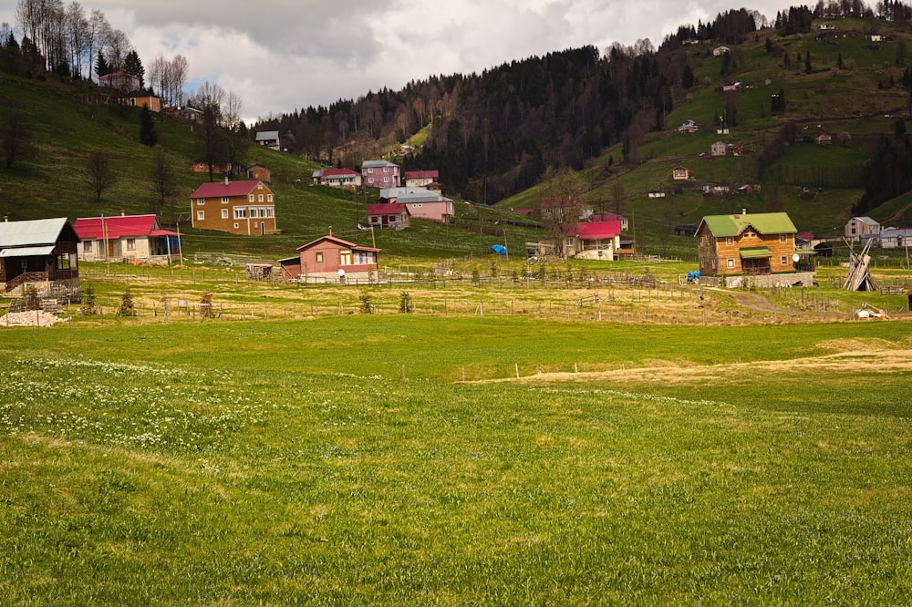 a grassy field with houses on a hill in the background