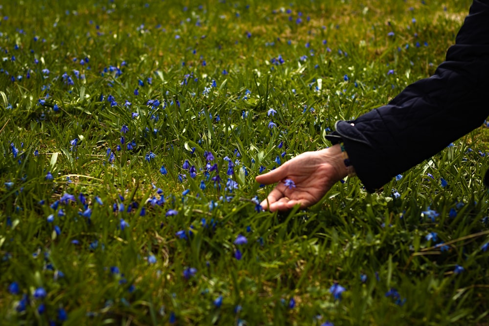a person reaching for something in the grass