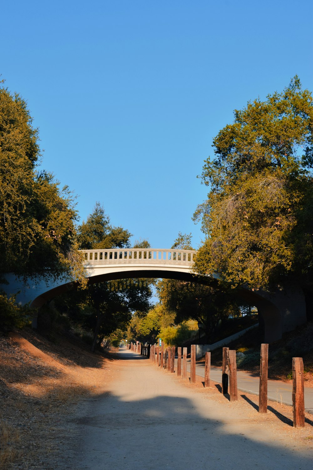 a bridge over a dirt road surrounded by trees