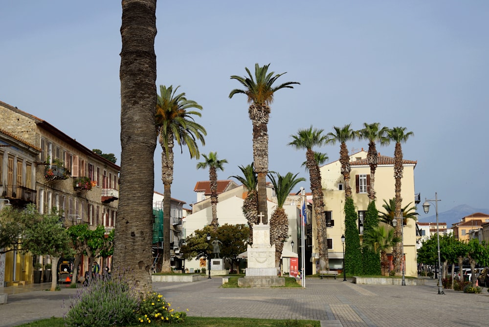 Las palmeras se alinean en las calles de un pequeño pueblo