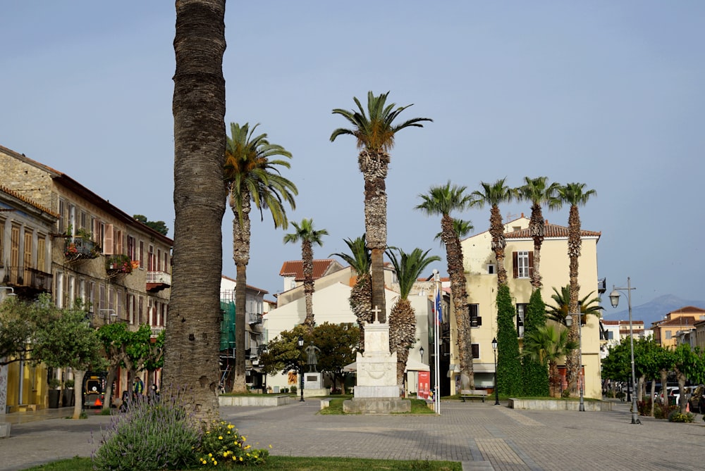 palm trees line the streets of a small town