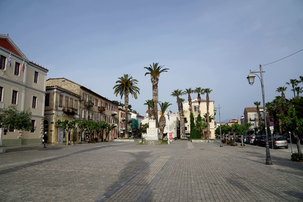 a street lined with palm trees next to tall buildings