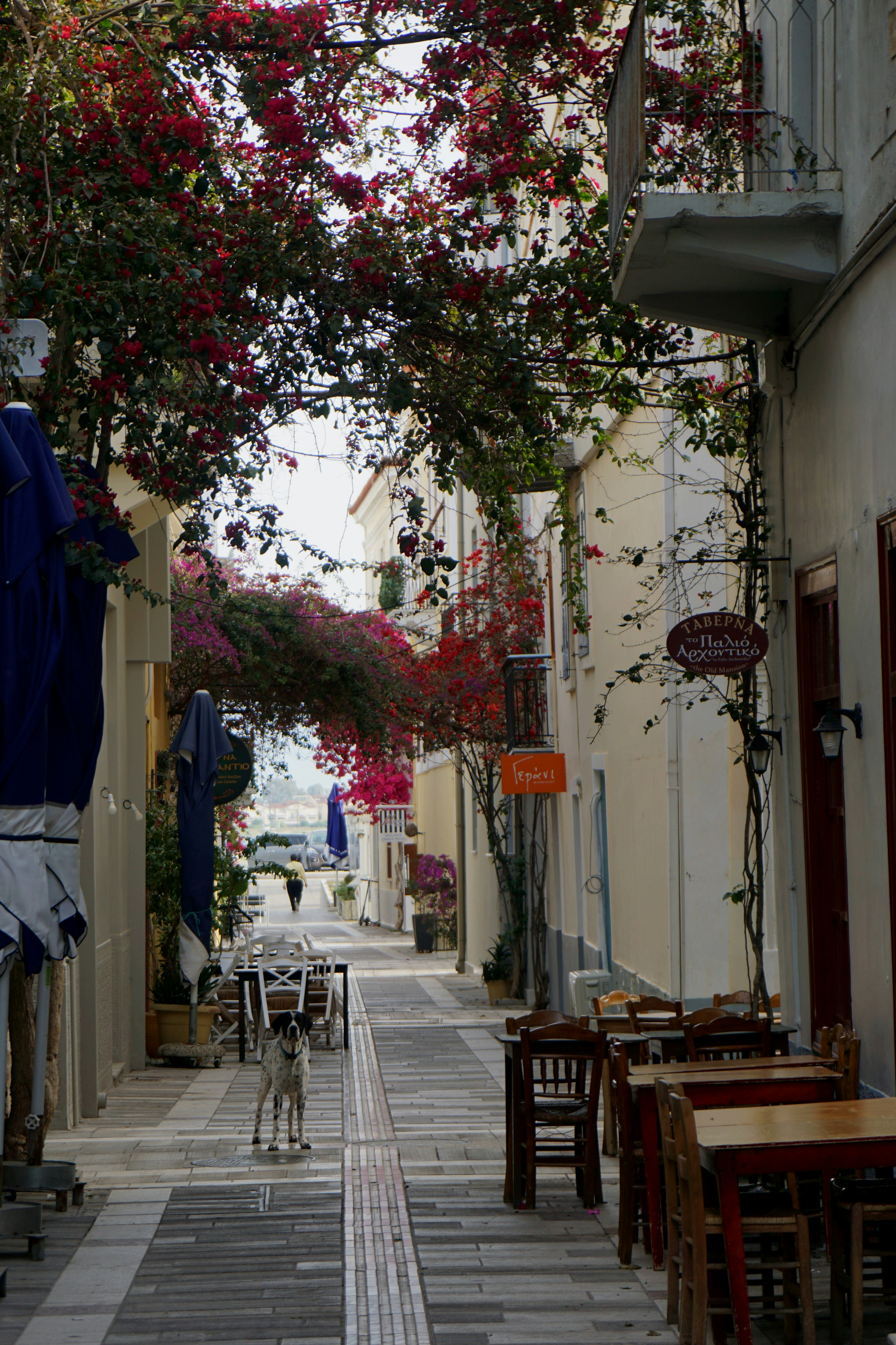 Photo by vladanraznatovic