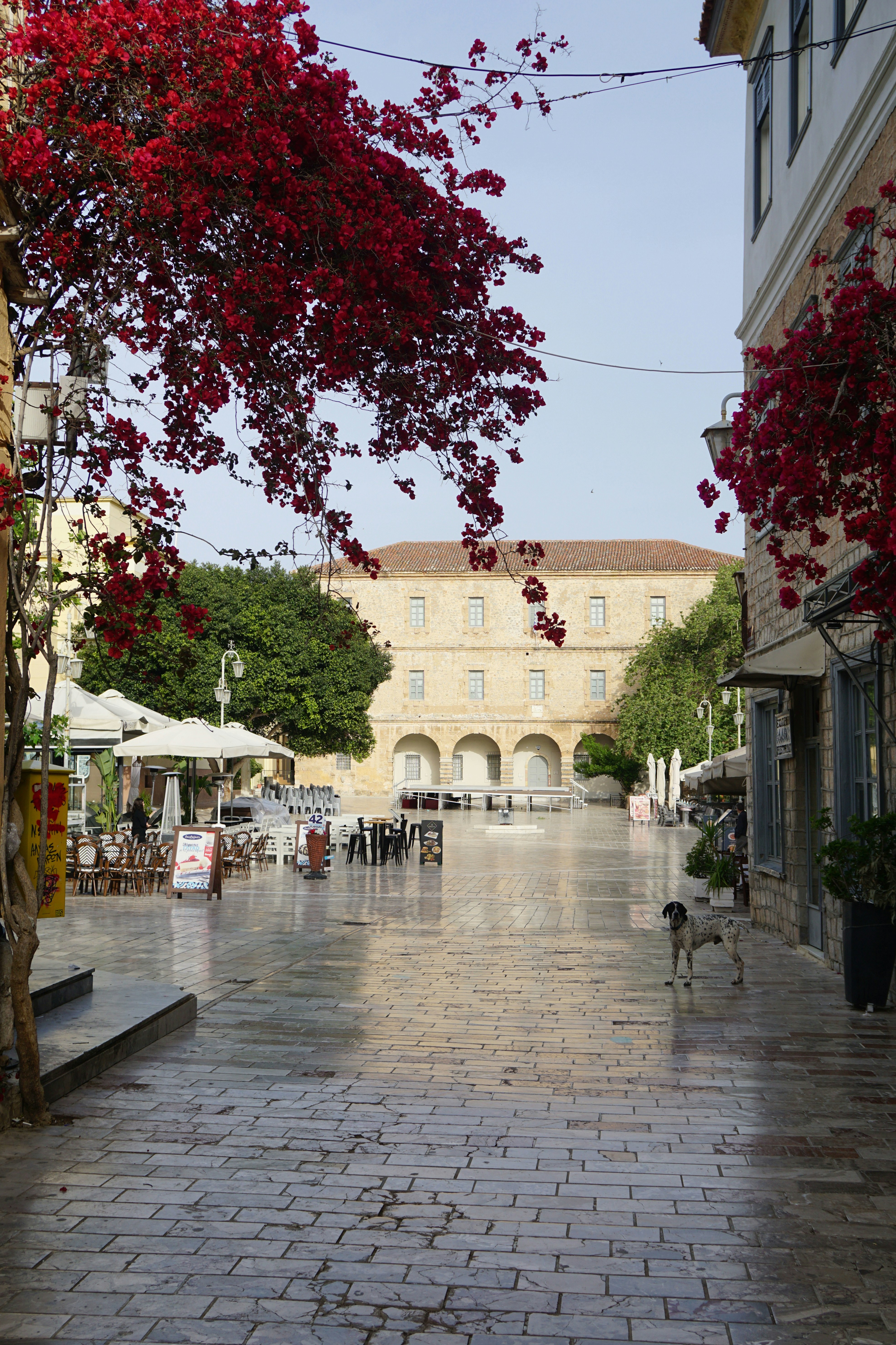 Nafplio – Budgeting & Cost Expectations
