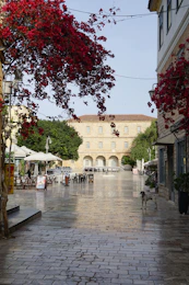 a dog walking down a street next to tall buildings