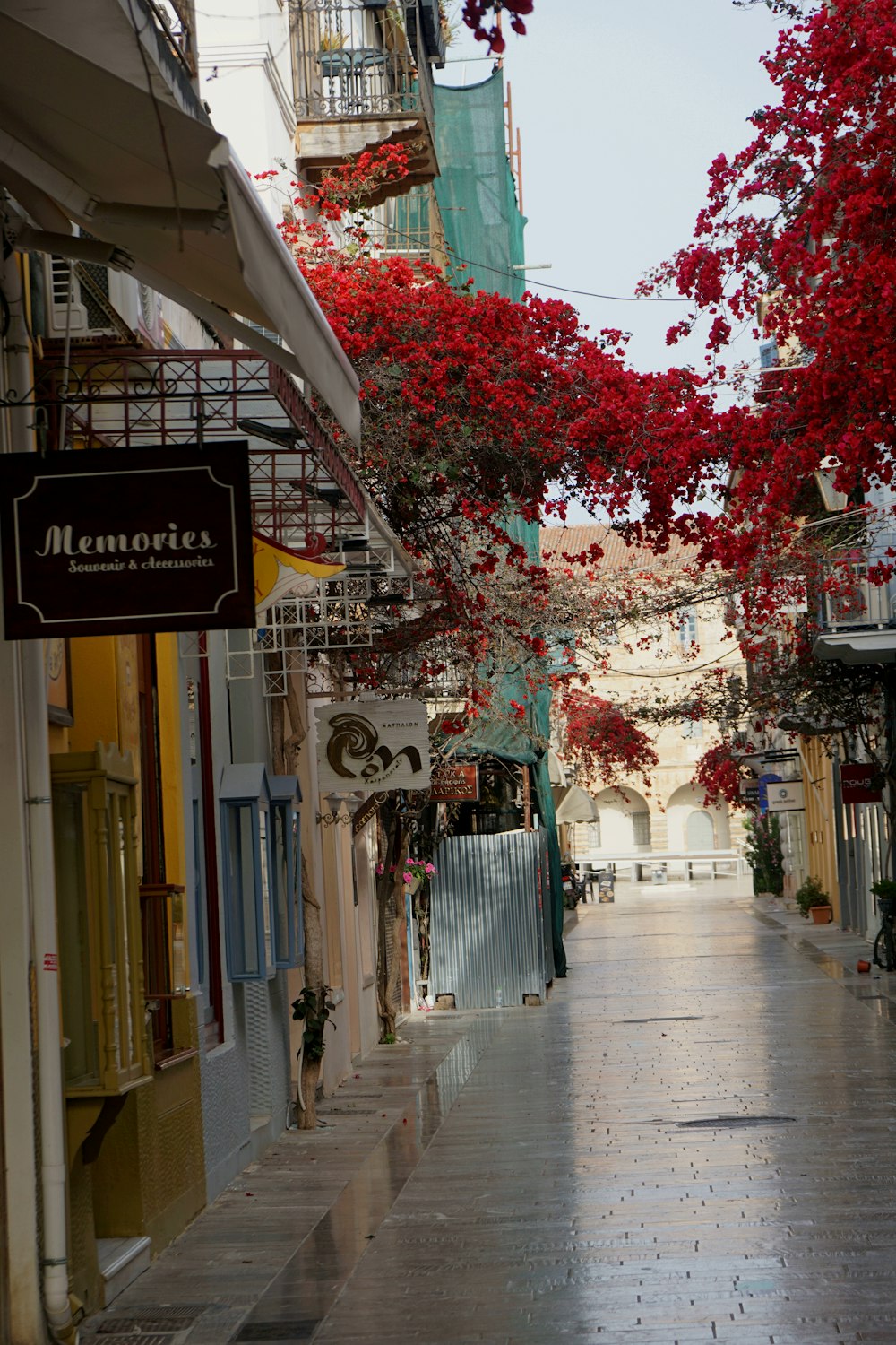 uma rua da cidade com flores vermelhas nas árvores