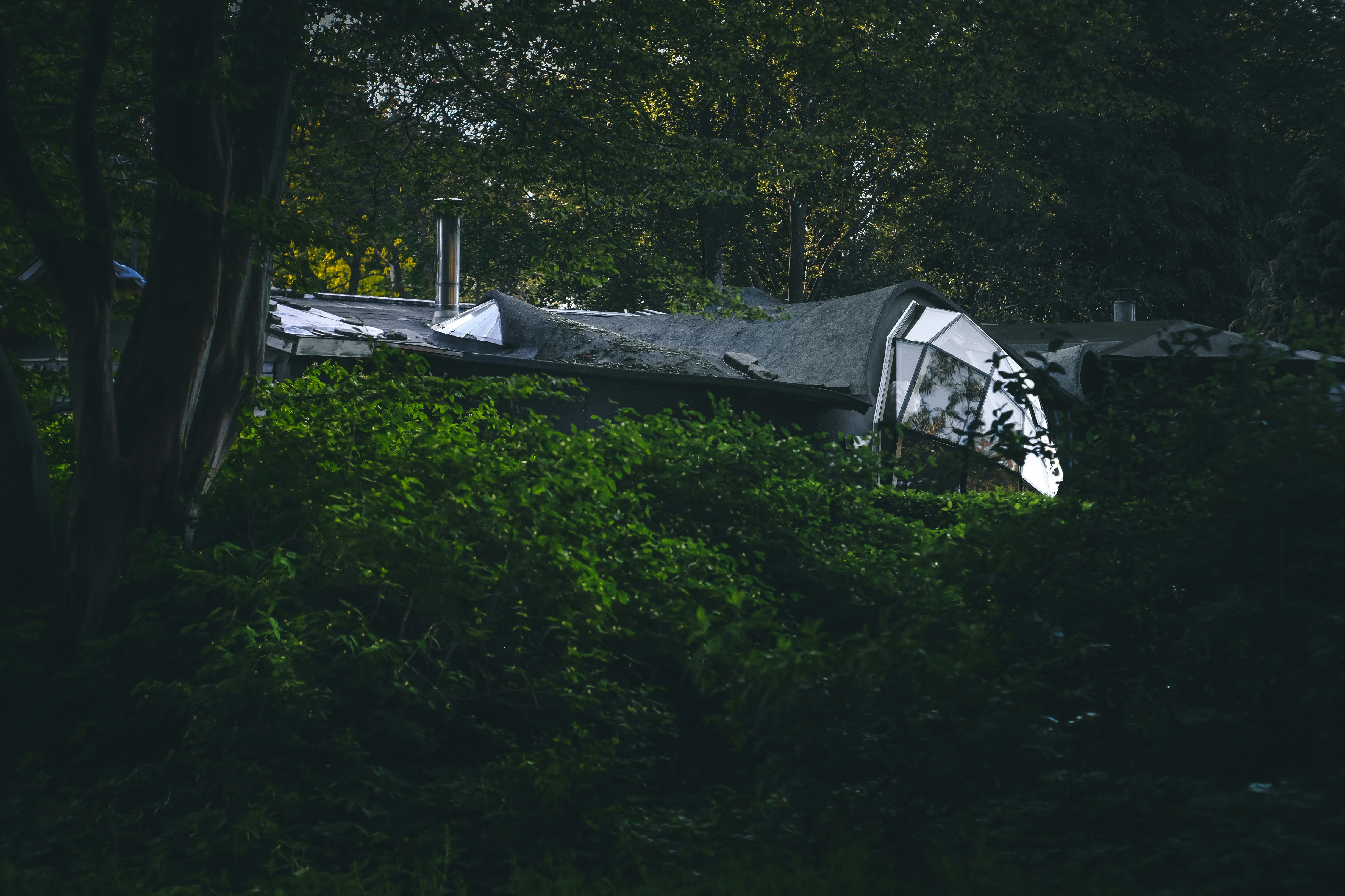 una tenda in mezzo a una foresta