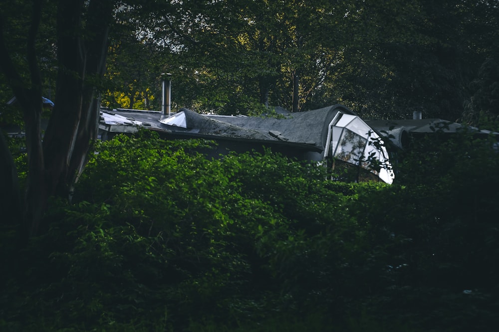 a tent in the middle of a forest