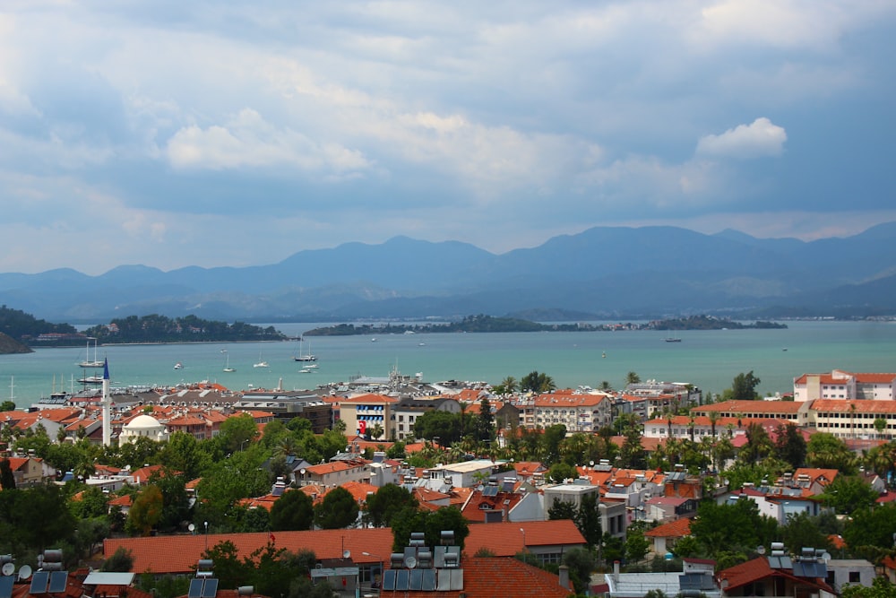 a view of a city with mountains in the background