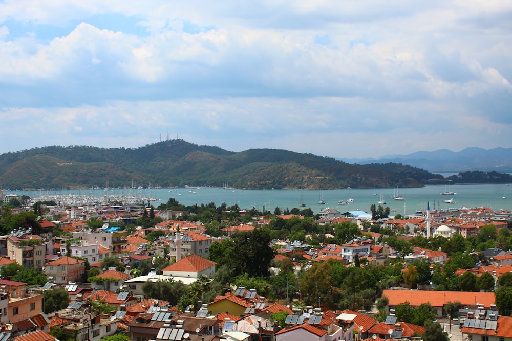 a view of a city and a body of water