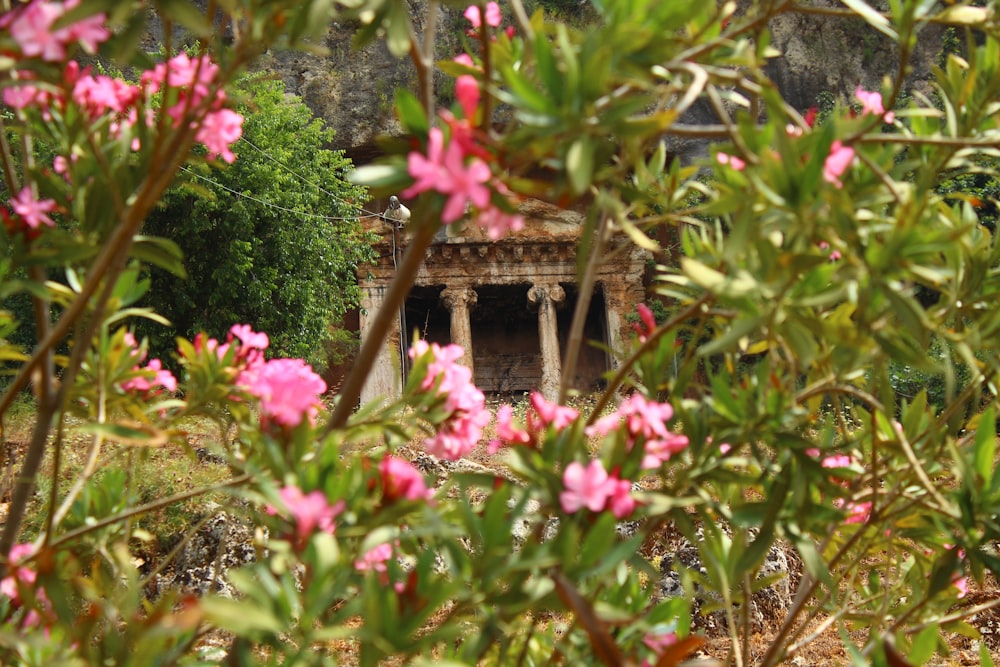a small building surrounded by pink flowers and trees
