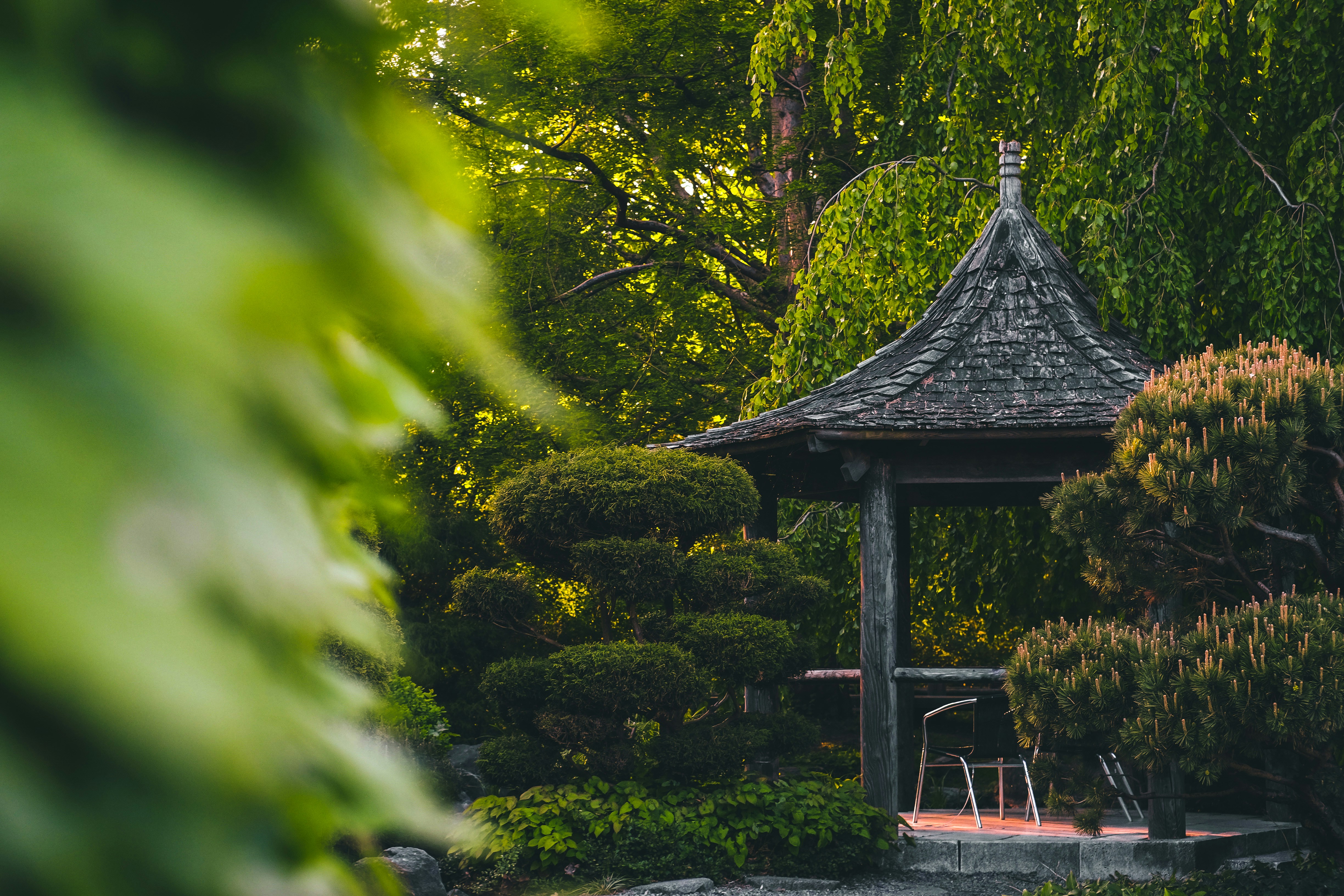 Photo by joydeeproni