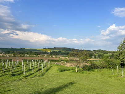 A serene landscape of lush fields under a bright sky, showcasing sustainable farming practices.