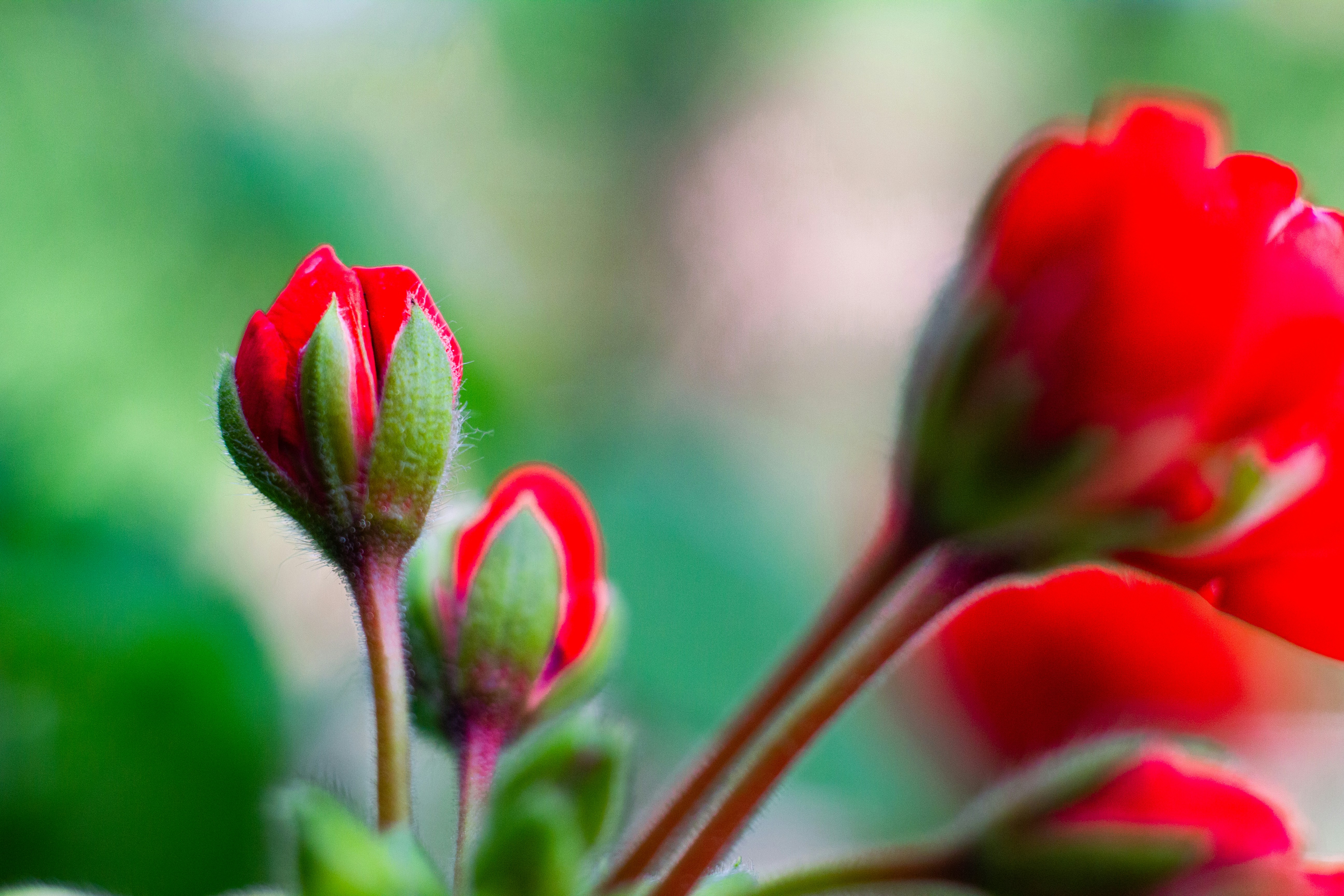 Photo by mattia_poli_04