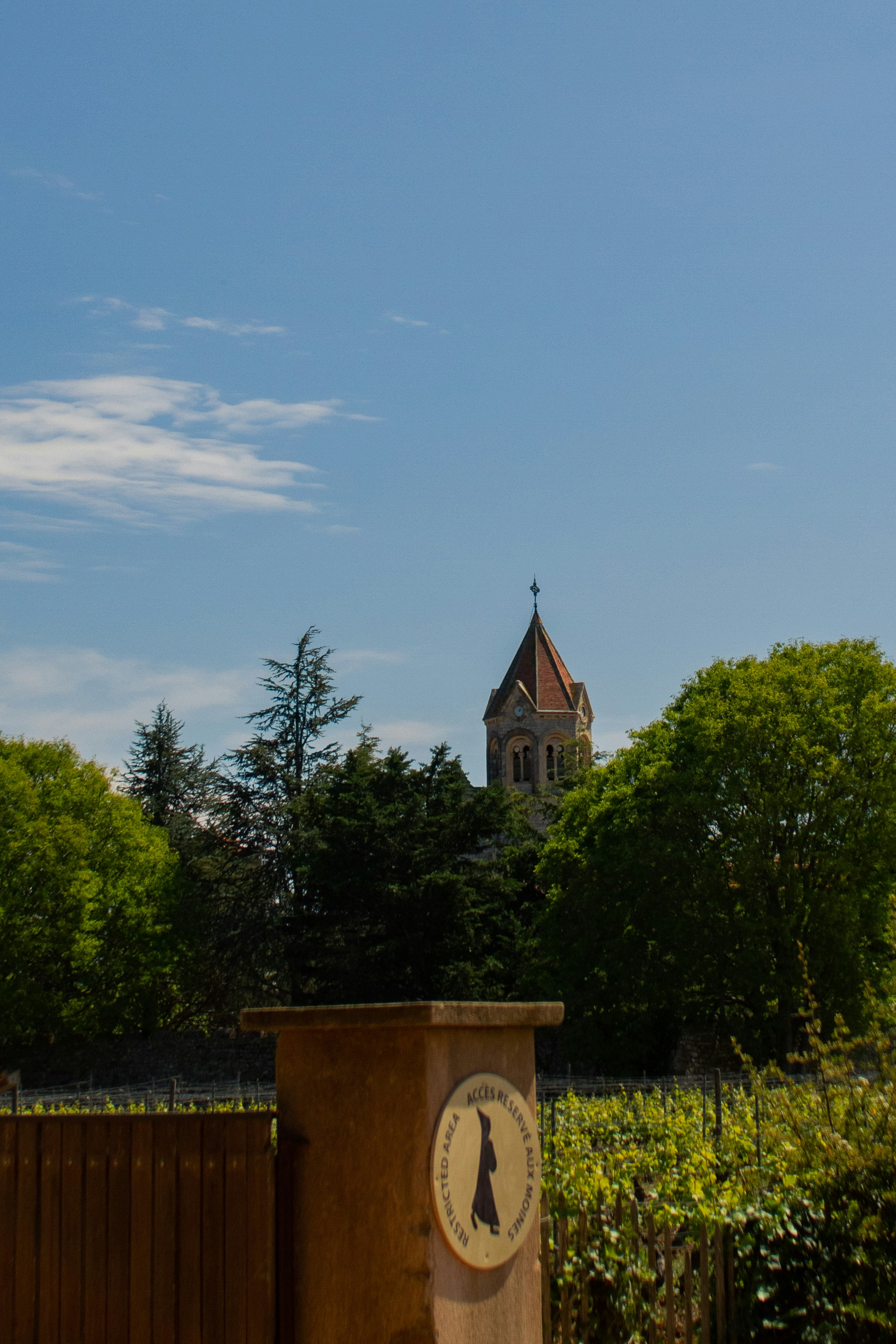 Photo by mattia_poli_04