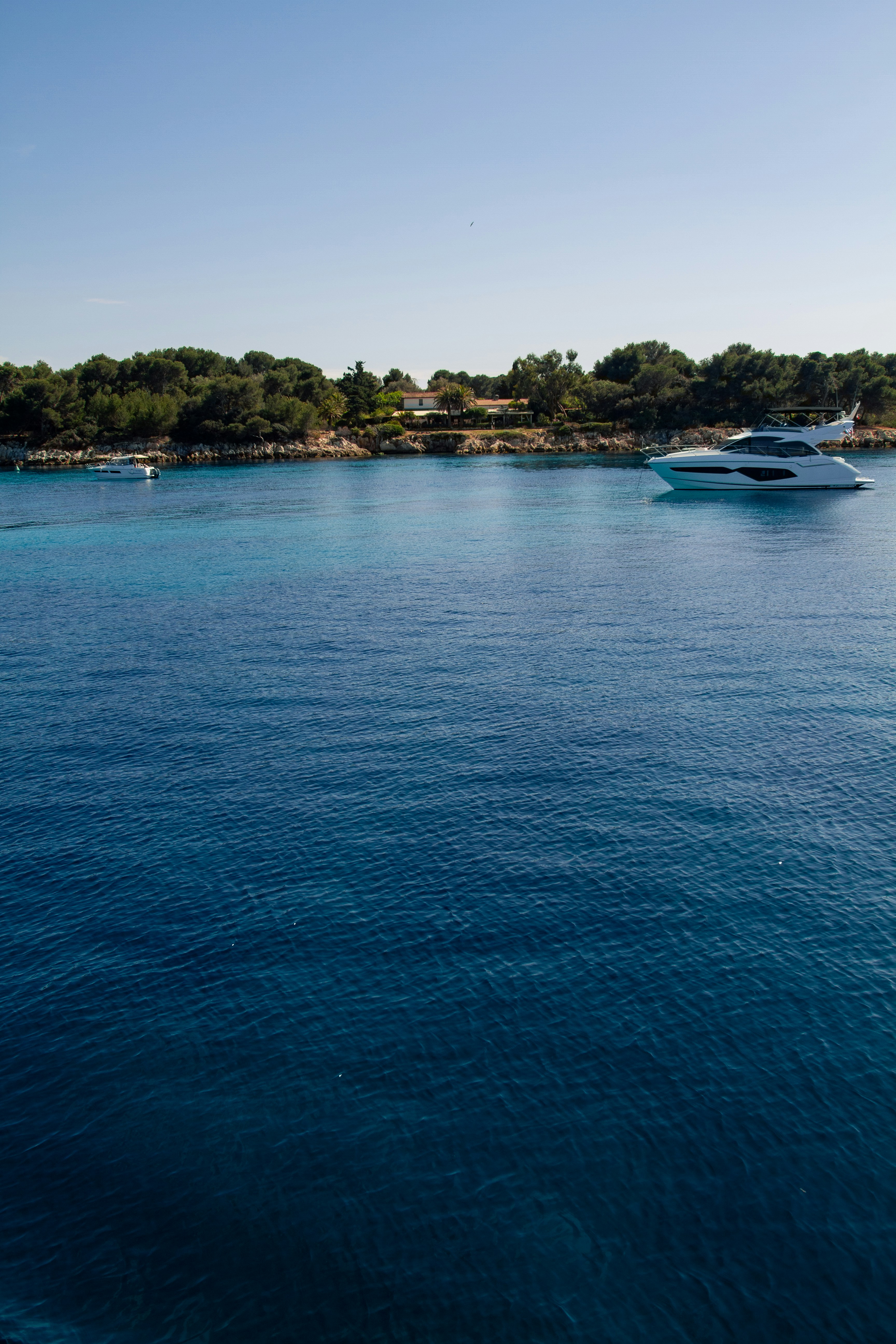 Photo by mattia_poli_04