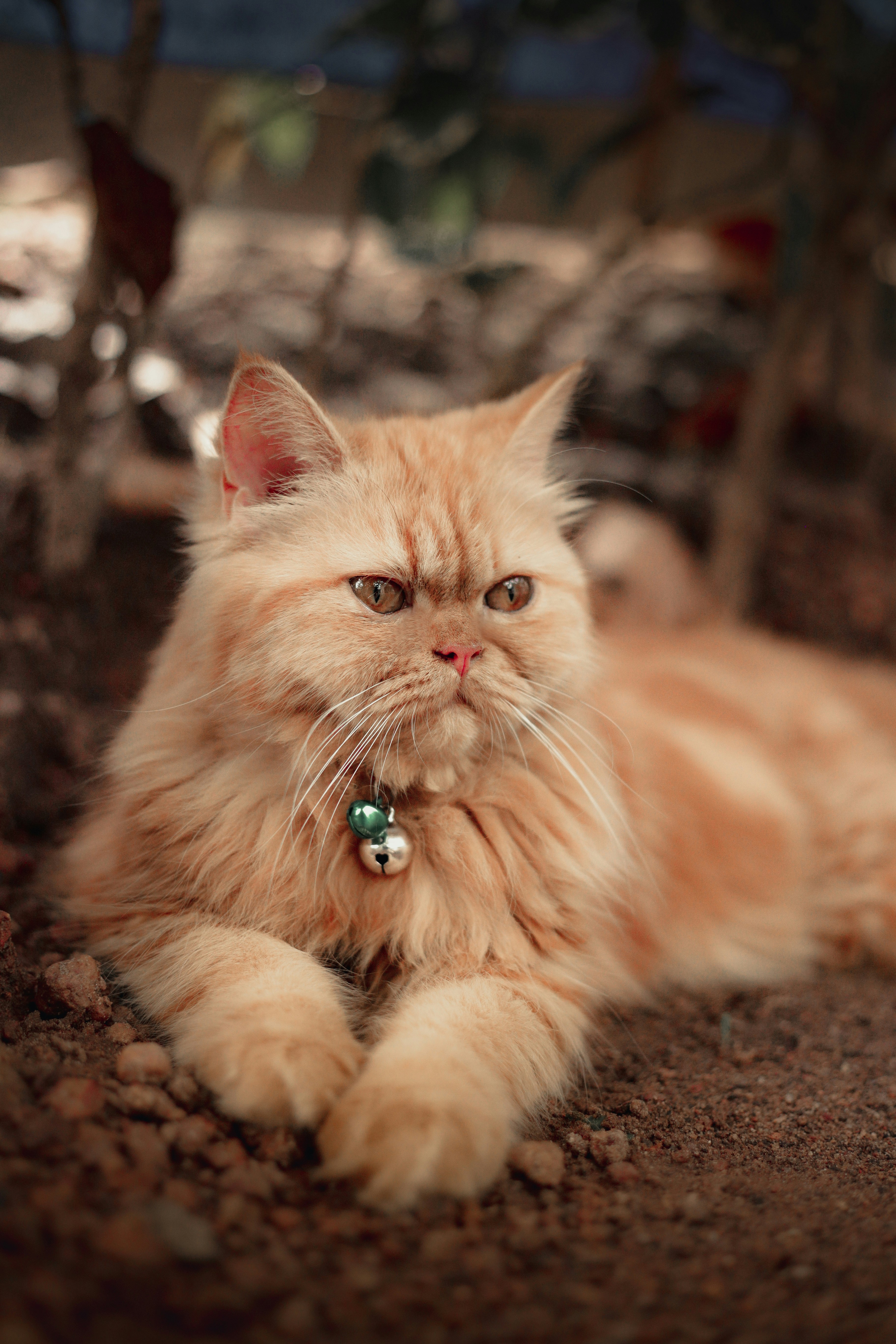 Photo by arununnikrishnan