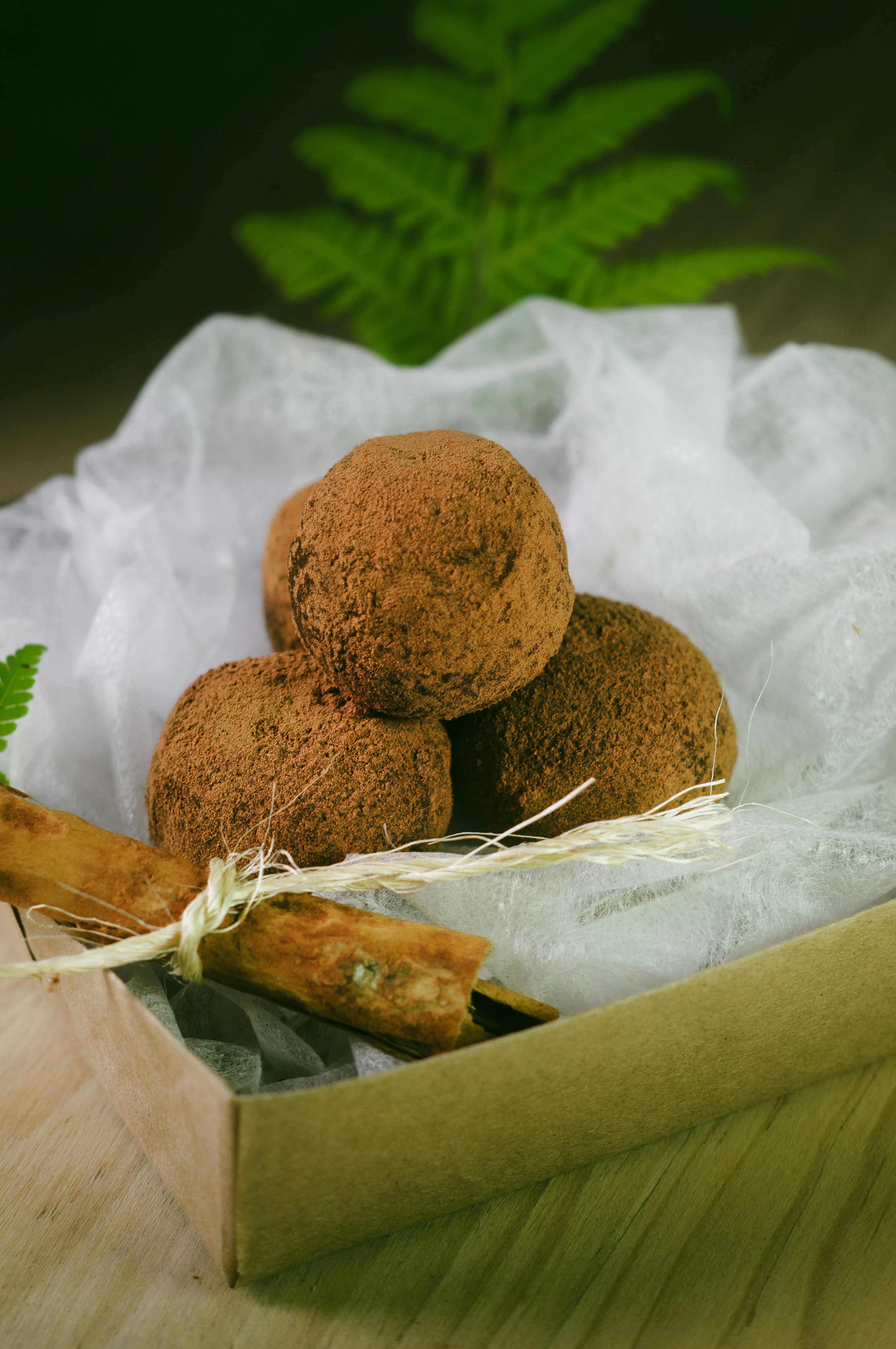 photo-1684538924717-1a60db97a90d?ixid=M3wxMjA3fDB8MXxzZWFyY2h8MXx8dHJ1ZmFzJTIwZnJlc2Nhc3xlbnwwfHx8fDE3MjAyOTY0MjB8MA\u0026ixlib=rb-4.0.3