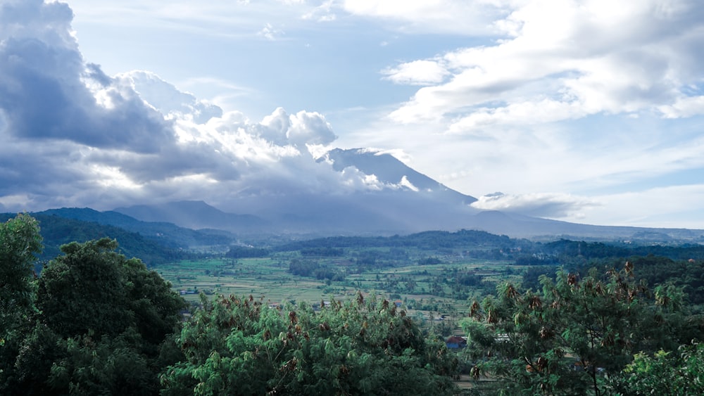 a view of a mountain range with trees in the foreground