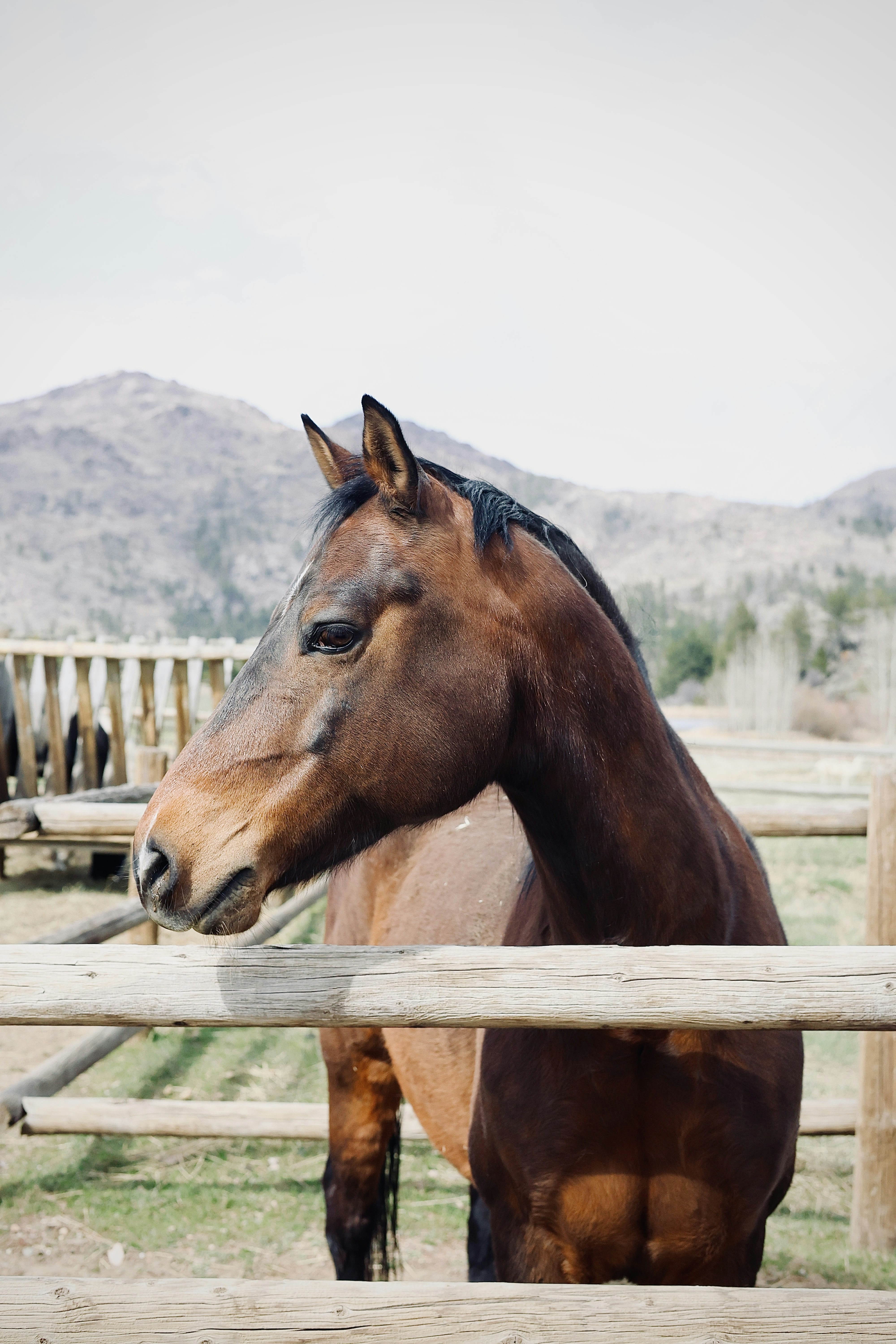 Photo by jakegriesemer