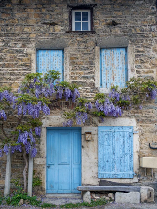 un vieux bâtiment avec des portes bleues et des genêts qui y poussent