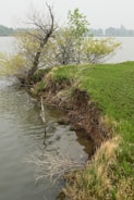 A small water body is encroaching on grassy land, with slight erosion visible at the edge. A few trees and shrubs stand precariously close to the water. The overcast sky casts a muted light over the scene.