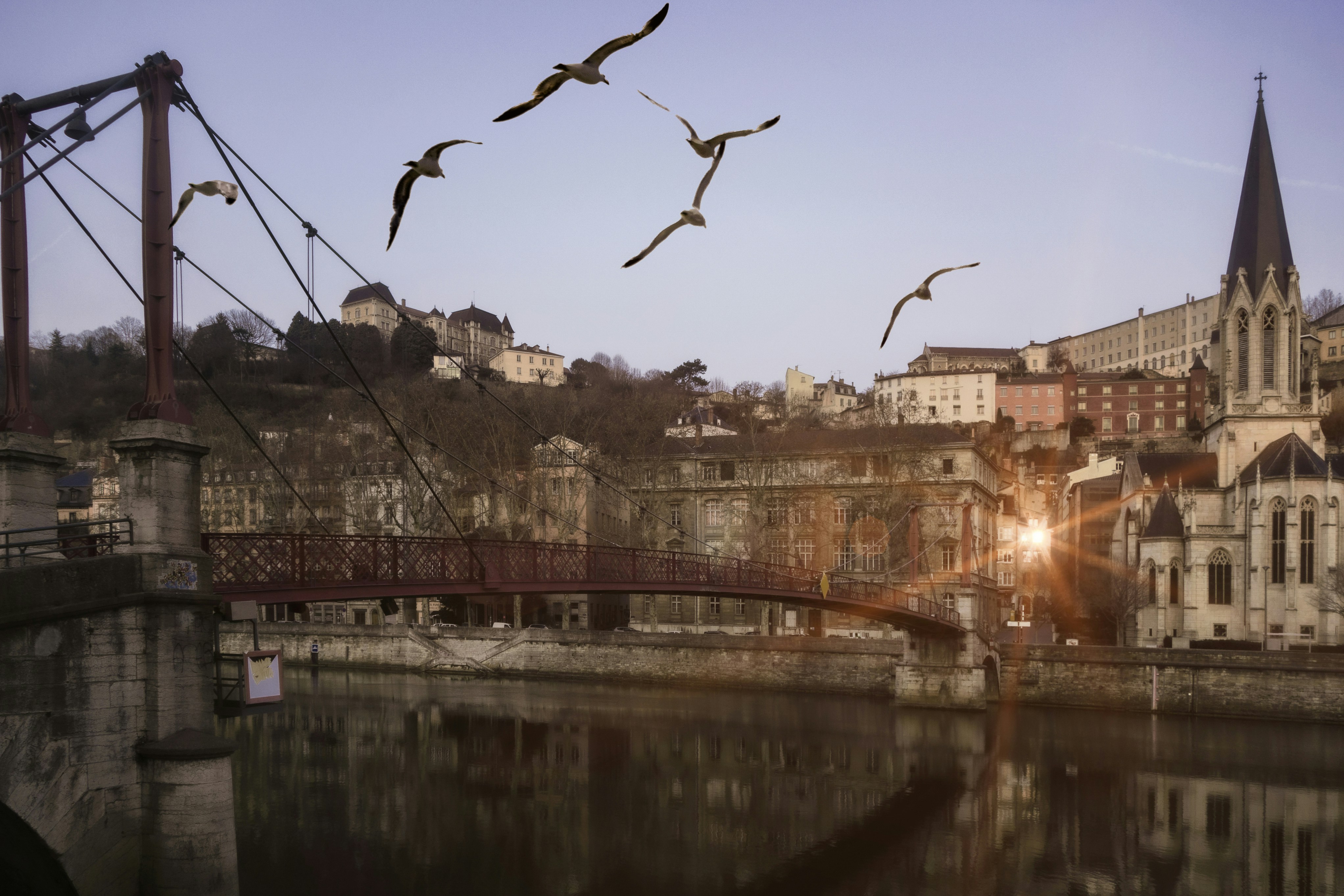 a flock of birds flying over a river next to a bridge