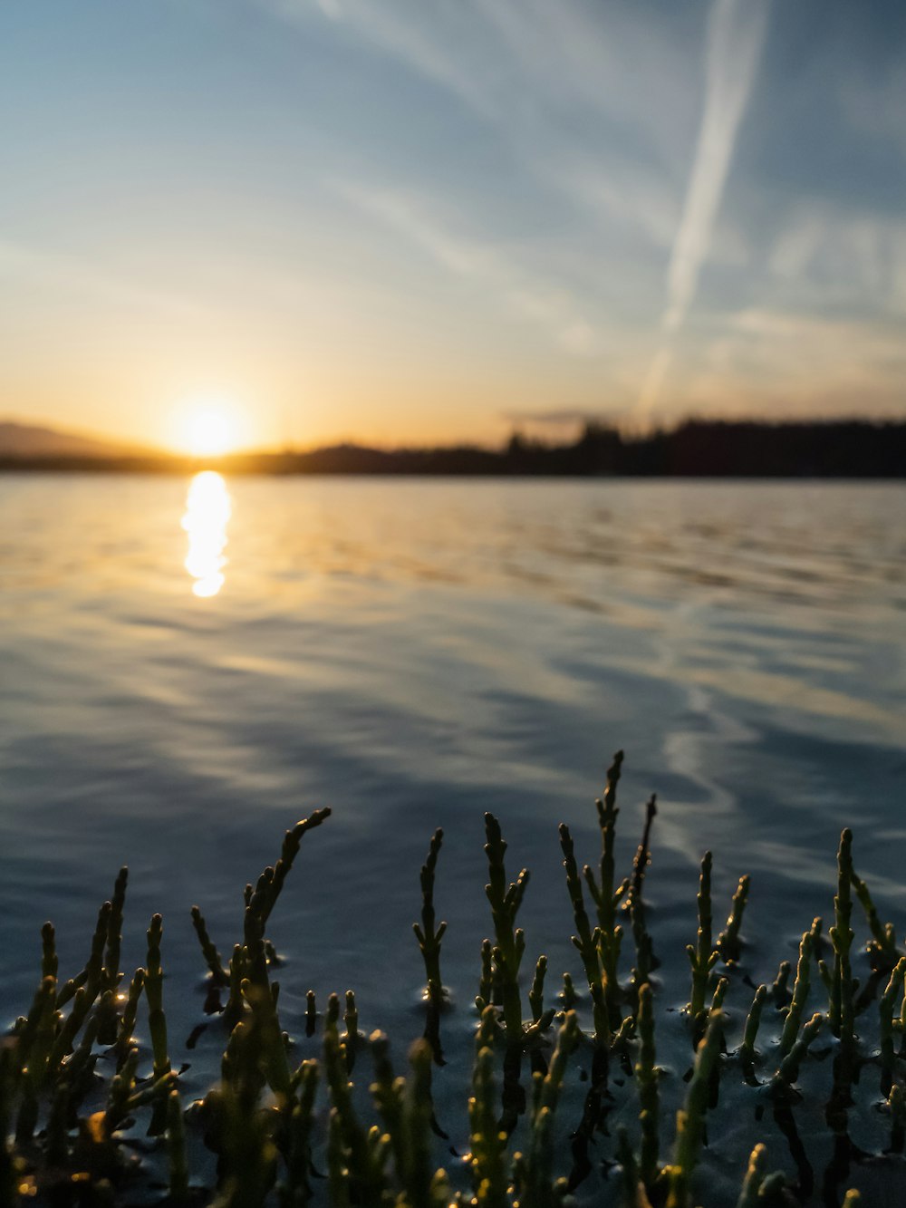 the sun is setting over a body of water