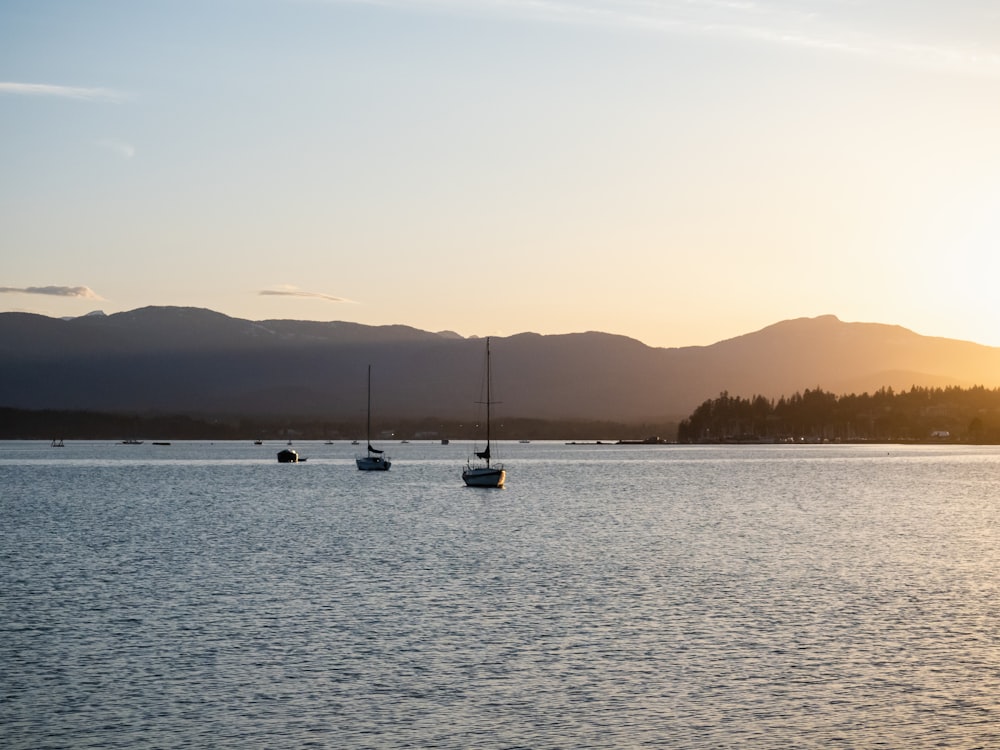 un groupe de bateaux flottant au-dessus d’un lac