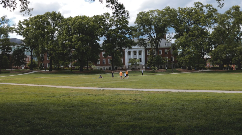 a group of people standing on top of a lush green field