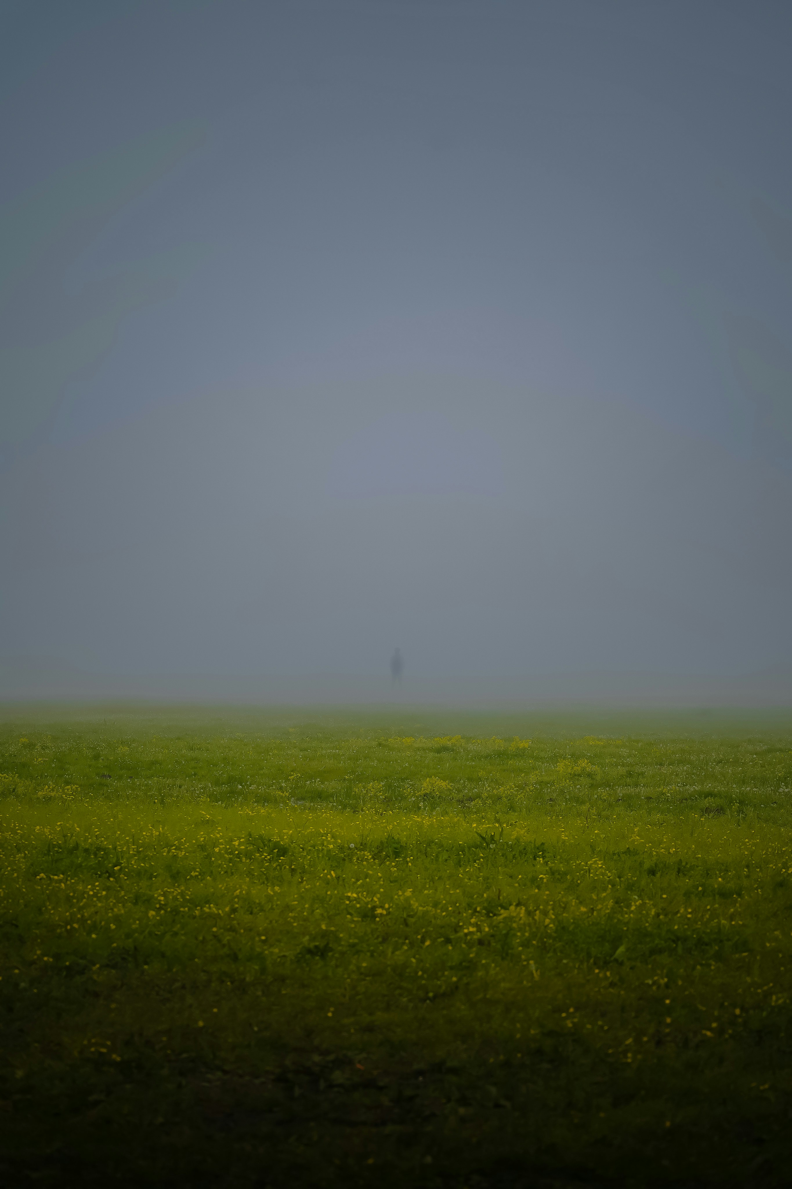 Photo by kiarash_mansouri