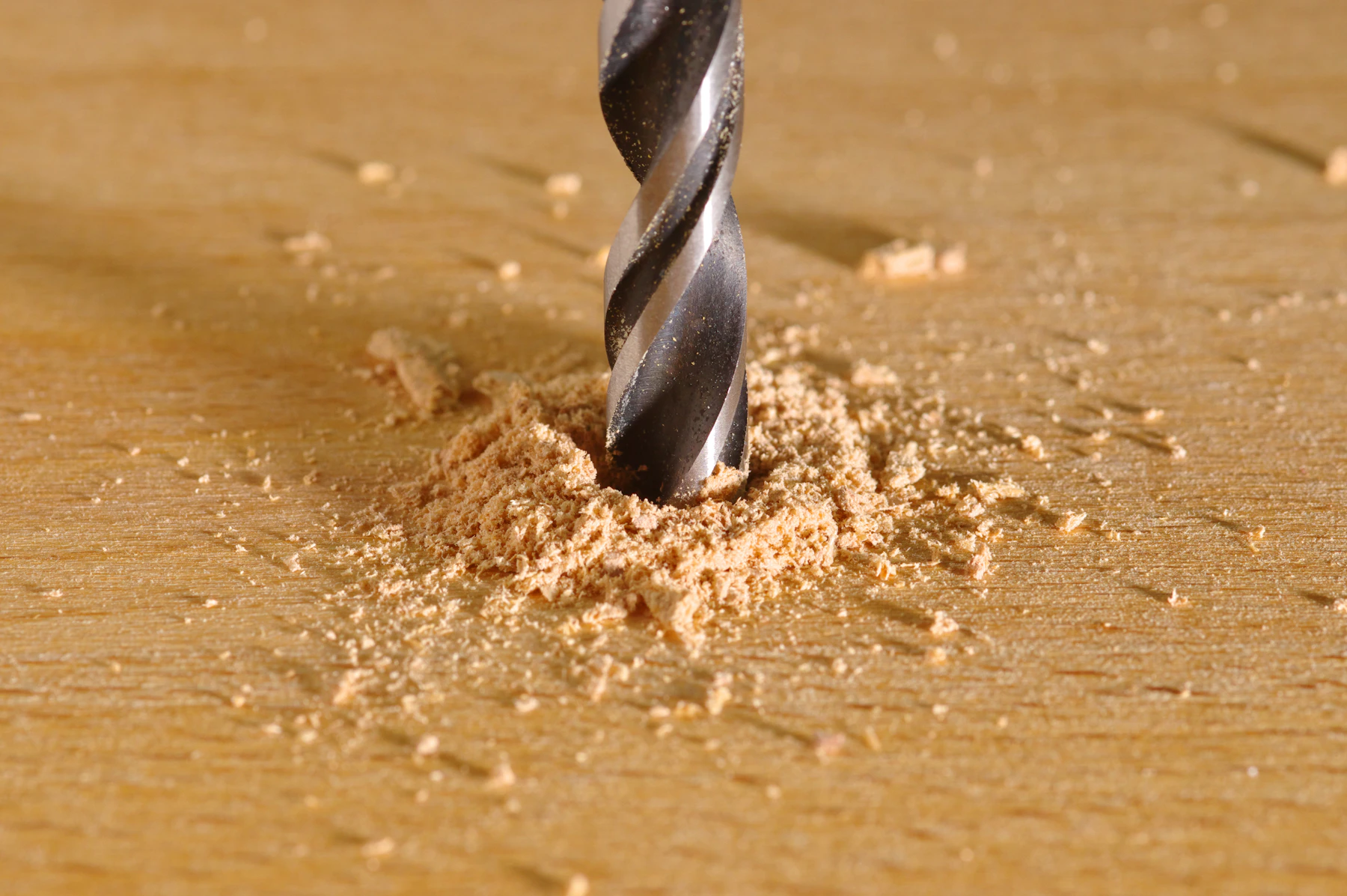 Close-up of a twist drill bit boring into a pale board, a small mound of fresh sawdust piled around the bit