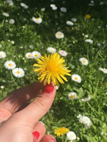 Soft yellow nails decorated with delicate hand-painted daisies.