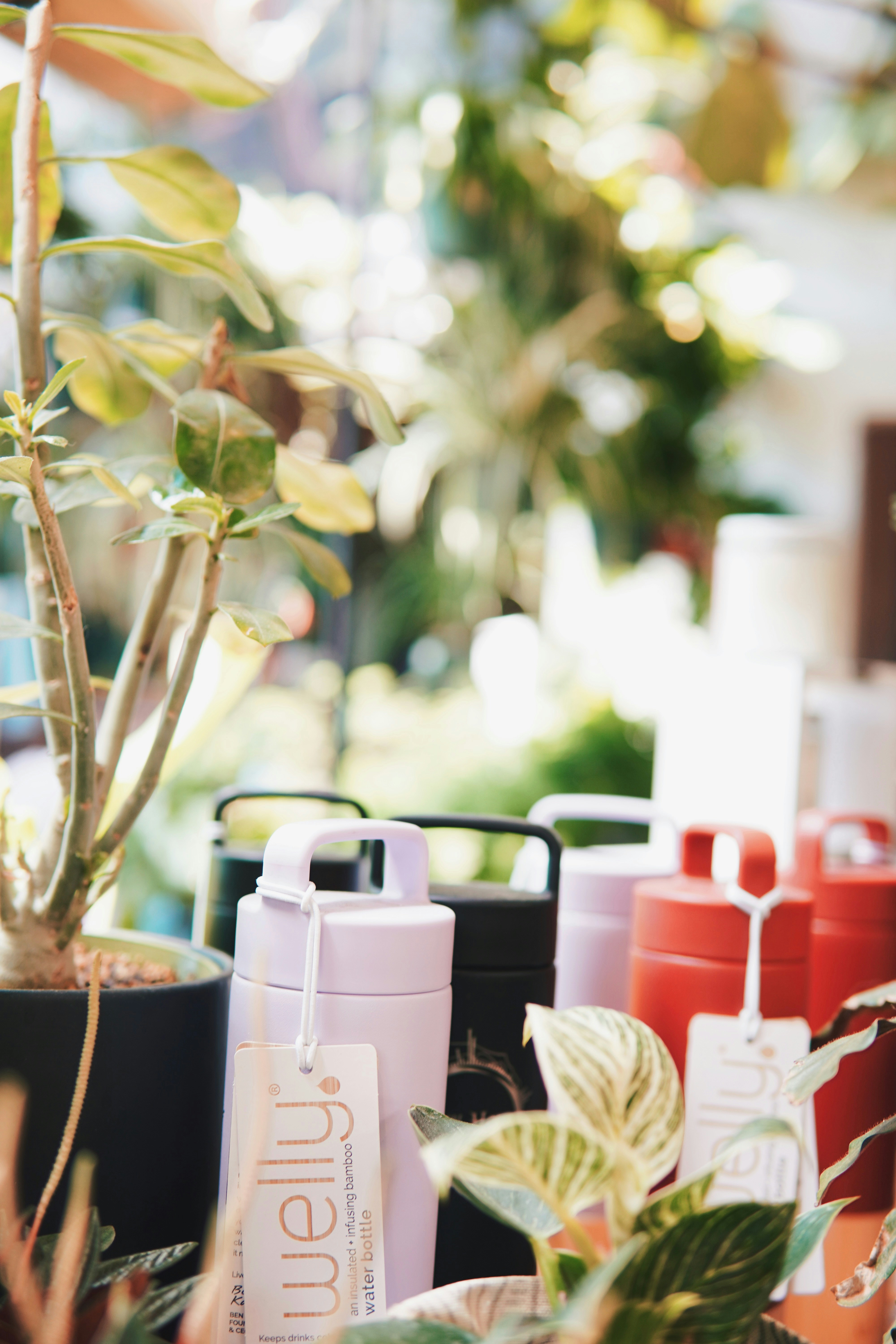 Photo by madeline_sd