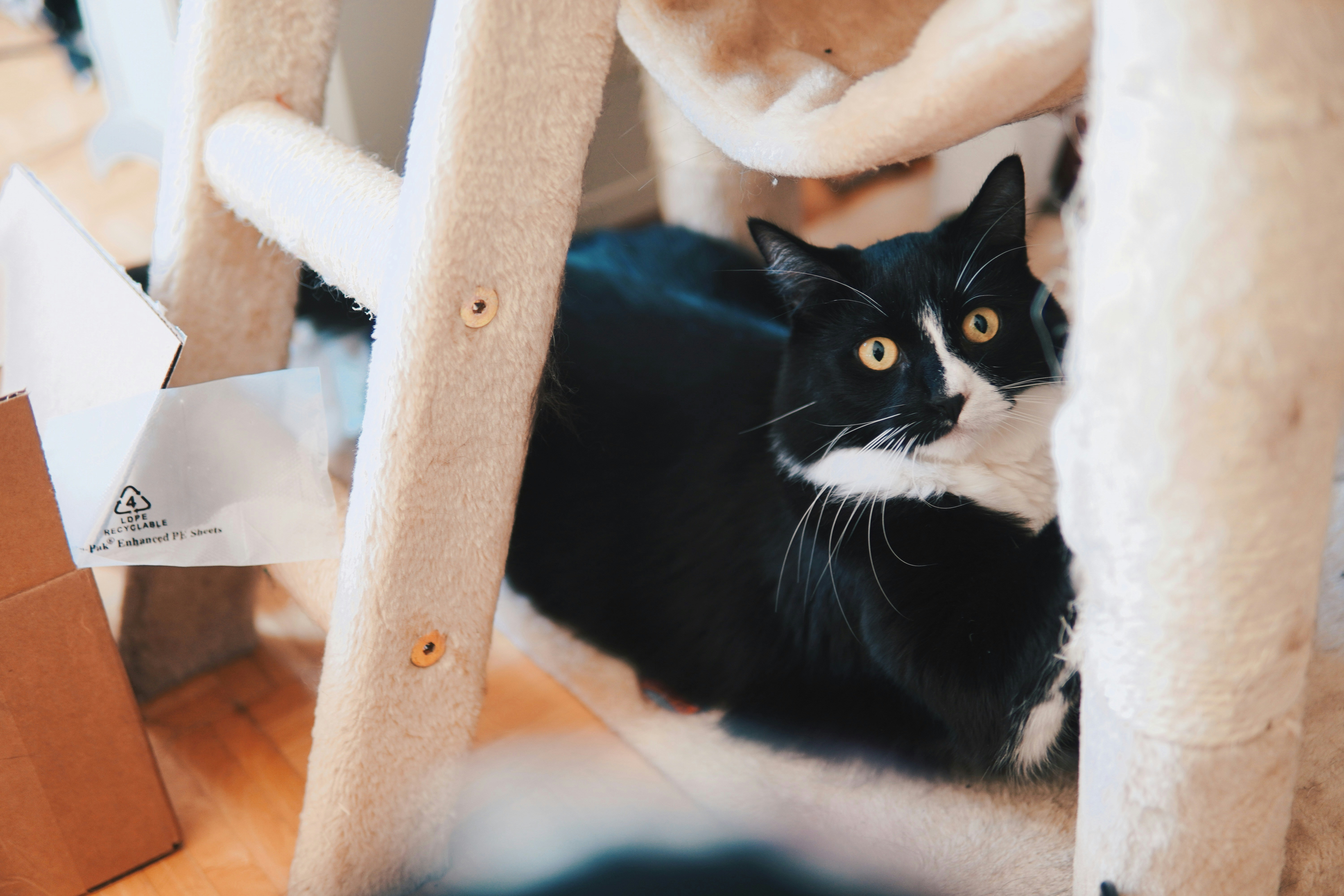 Photo by madeline_sd