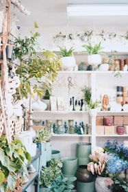 A vibrant indoor plant shop featuring a variety of green potted plants and decorative items arranged on shelves. Hanging plants add a lush touch, while various pots in different colors and textures fill the space. The shelves are adorned with decorative vases, sculptures, and small trinkets, creating an inviting and lively atmosphere.