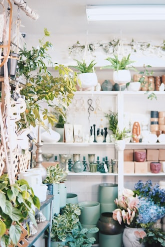 A vibrant indoor plant shop featuring a variety of green potted plants and decorative items arranged on shelves. Hanging plants add a lush touch, while various pots in different colors and textures fill the space. The shelves are adorned with decorative vases, sculptures, and small trinkets, creating an inviting and lively atmosphere.