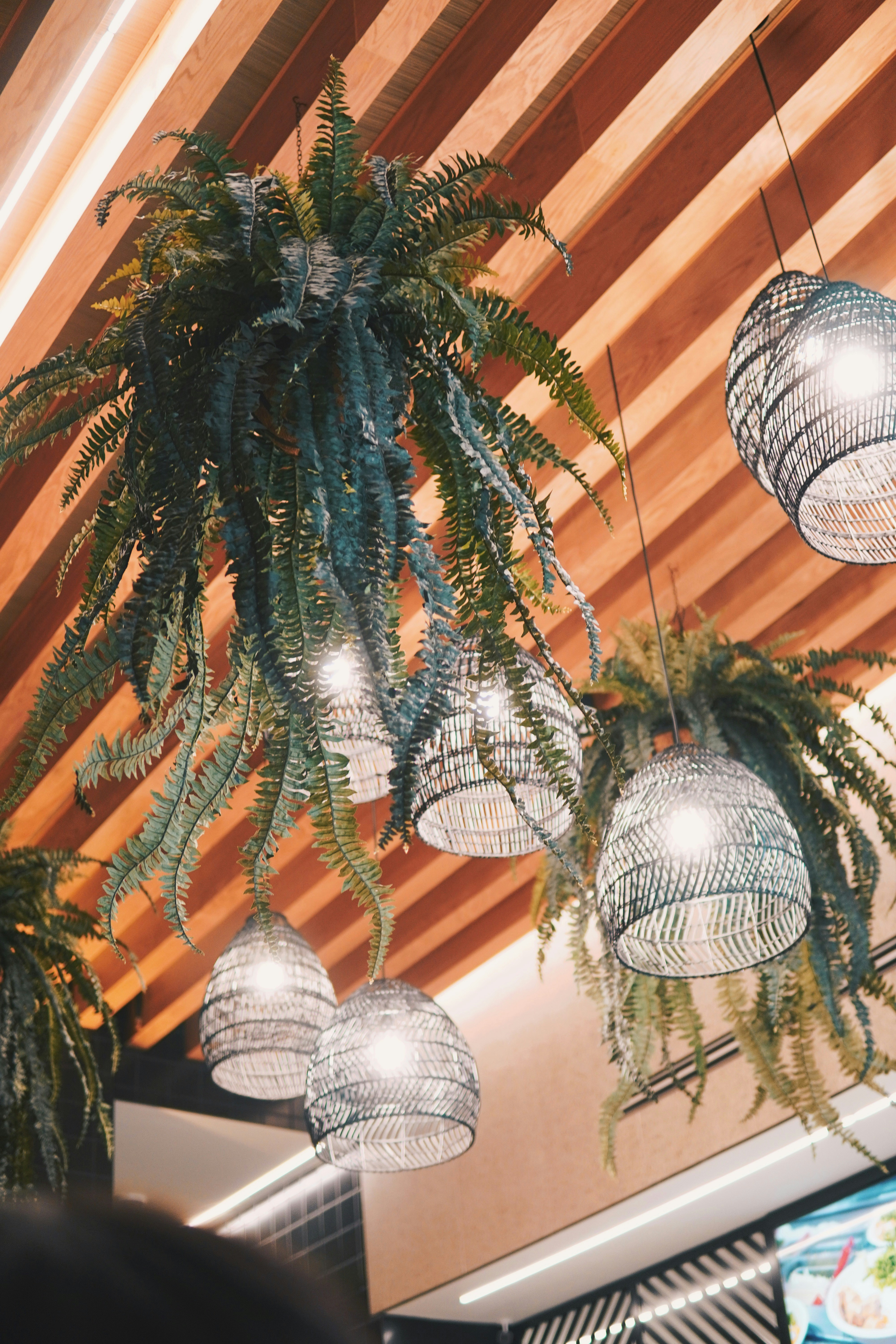 Photo by madeline_sd