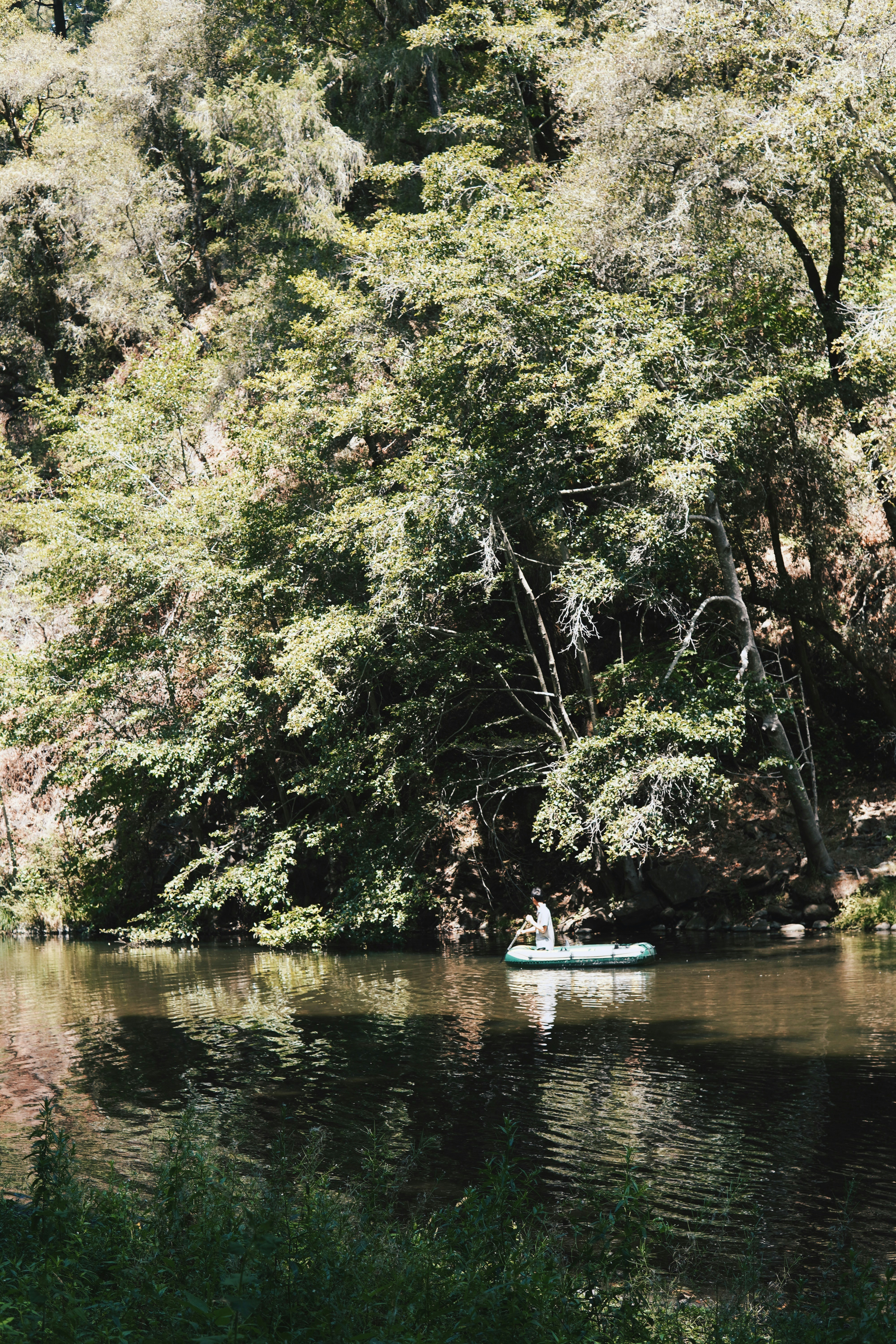 Photo by madeline_sd