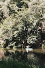 A small inflatable boat with a person in it floats on a calm river surrounded by dense, leafy trees. The water reflects the greenery, creating a serene and peaceful scene. Sunlight filters through the canopy, illuminating parts of the river.
