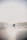 Warm cinematic image of a couple holding hands, bathed in late afternoon light at the beach.