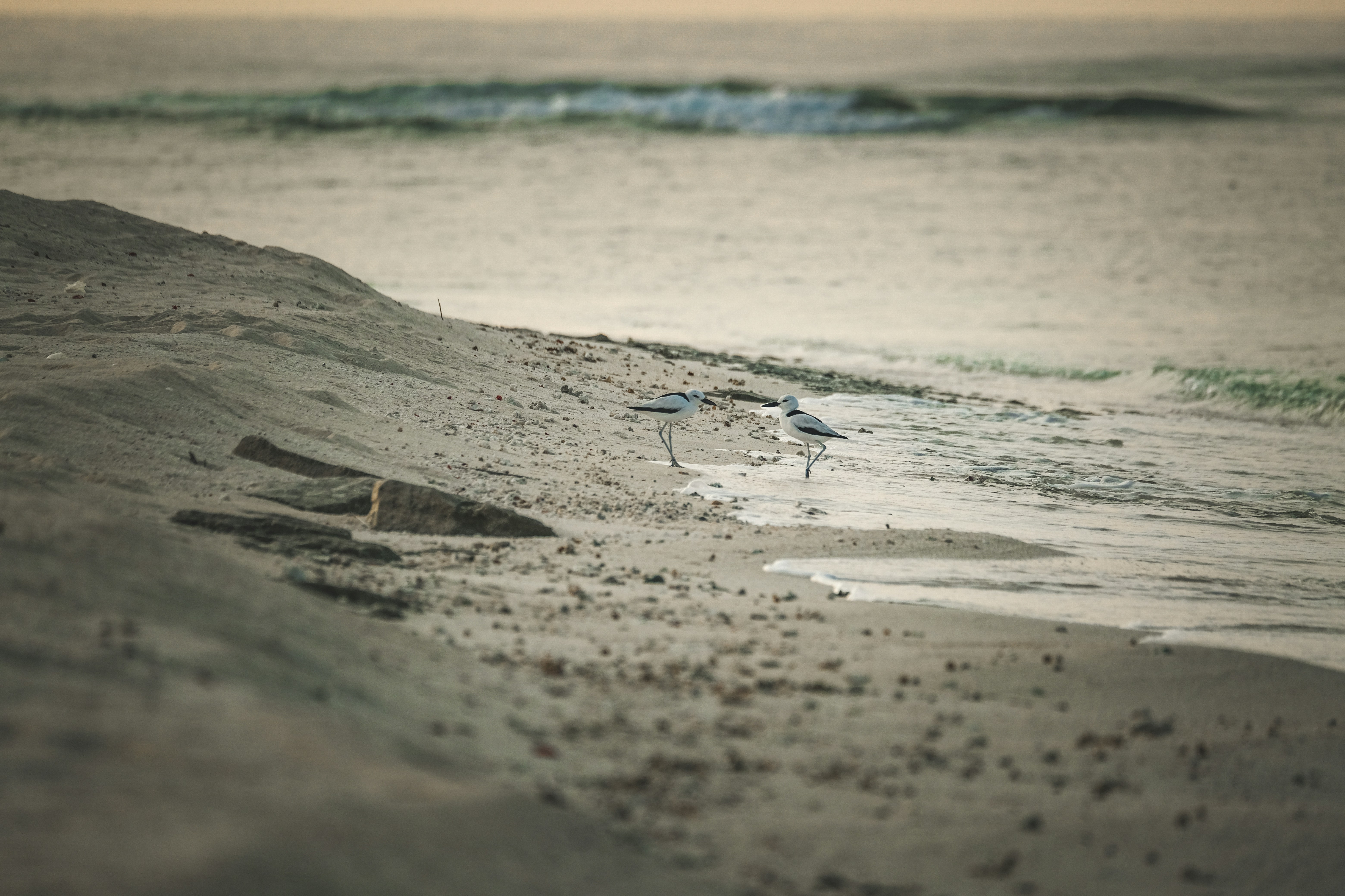 Photo by francesco_ungaro