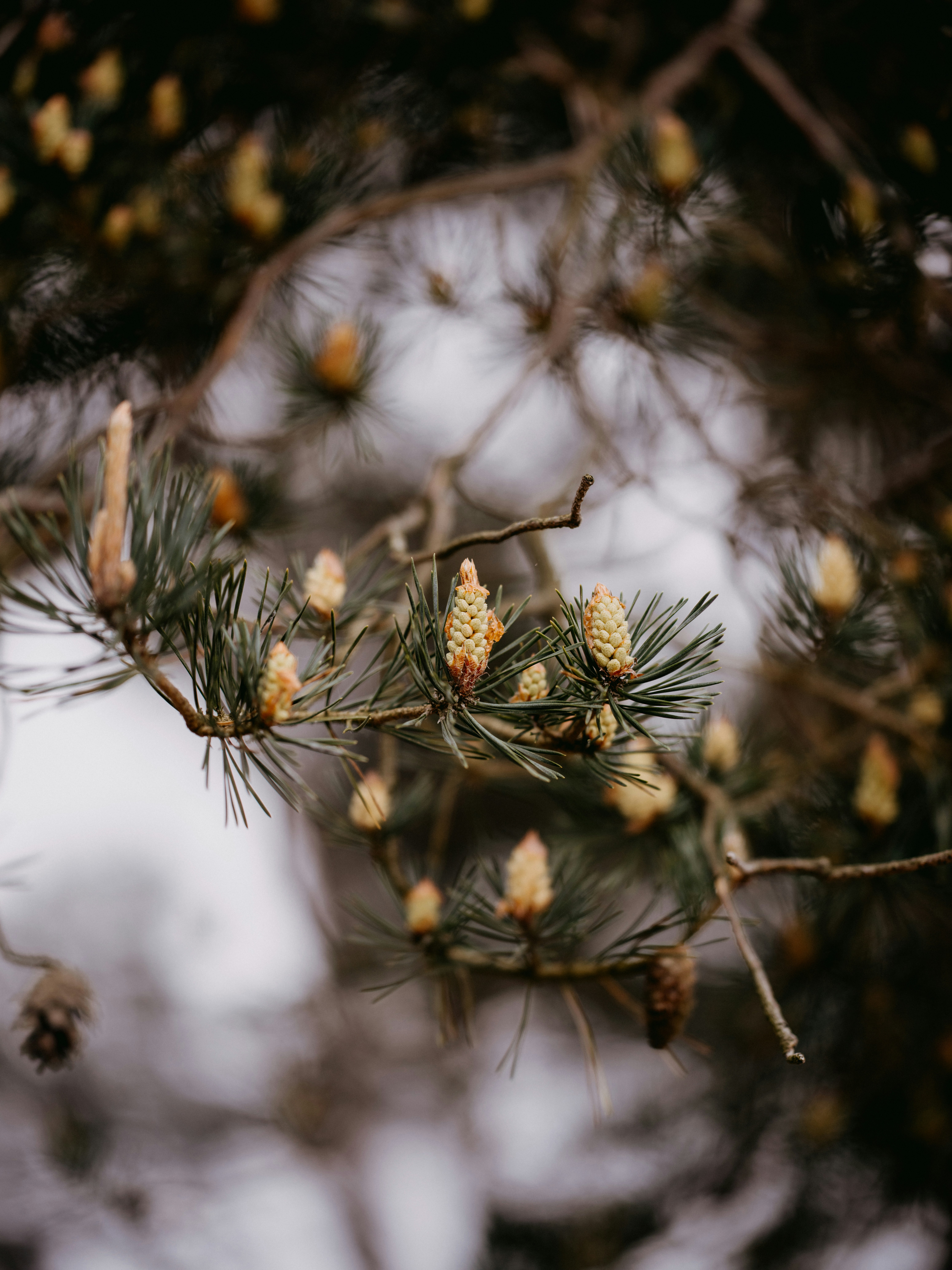 Photo by anniespratt