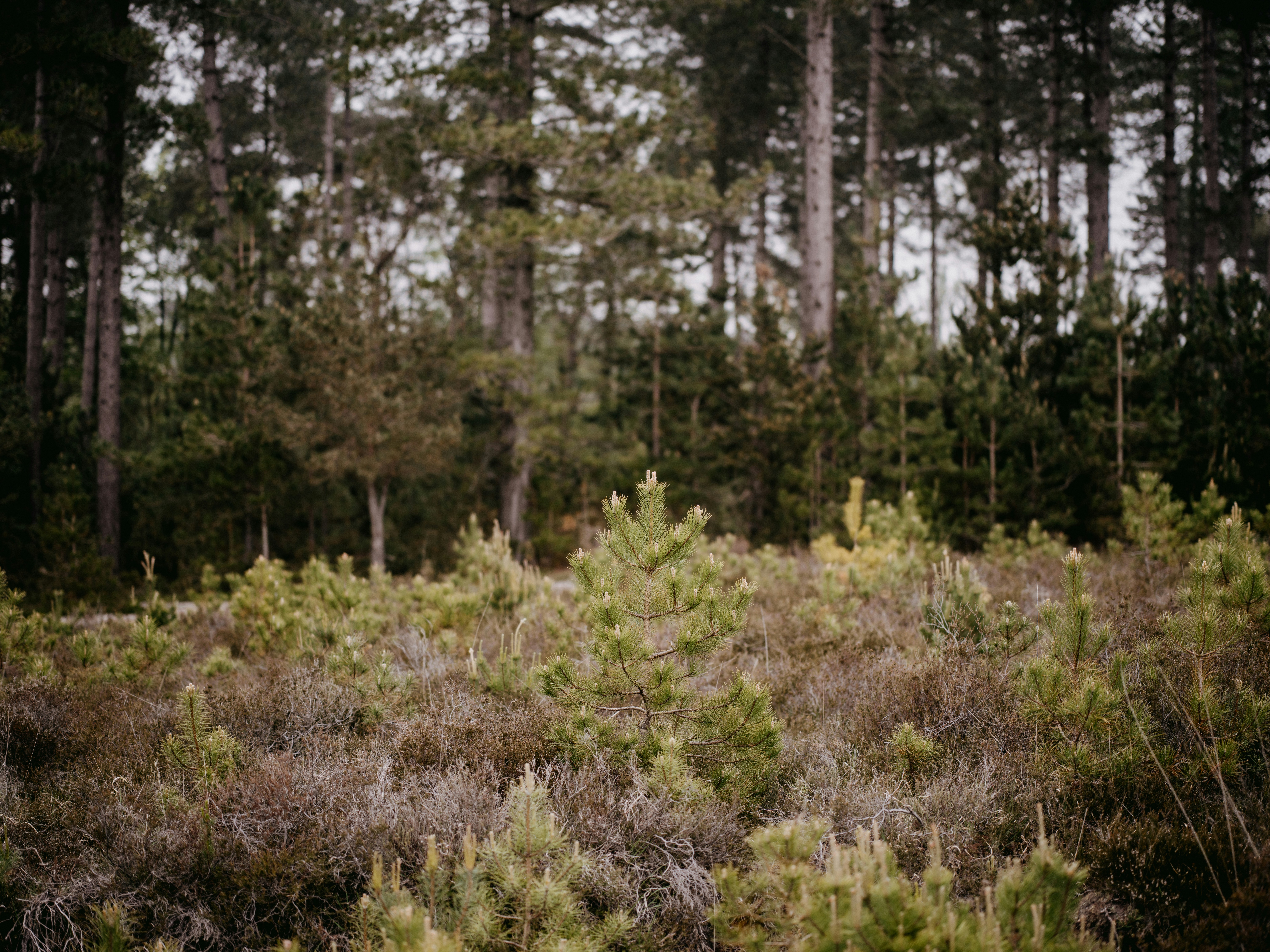 Photo by anniespratt