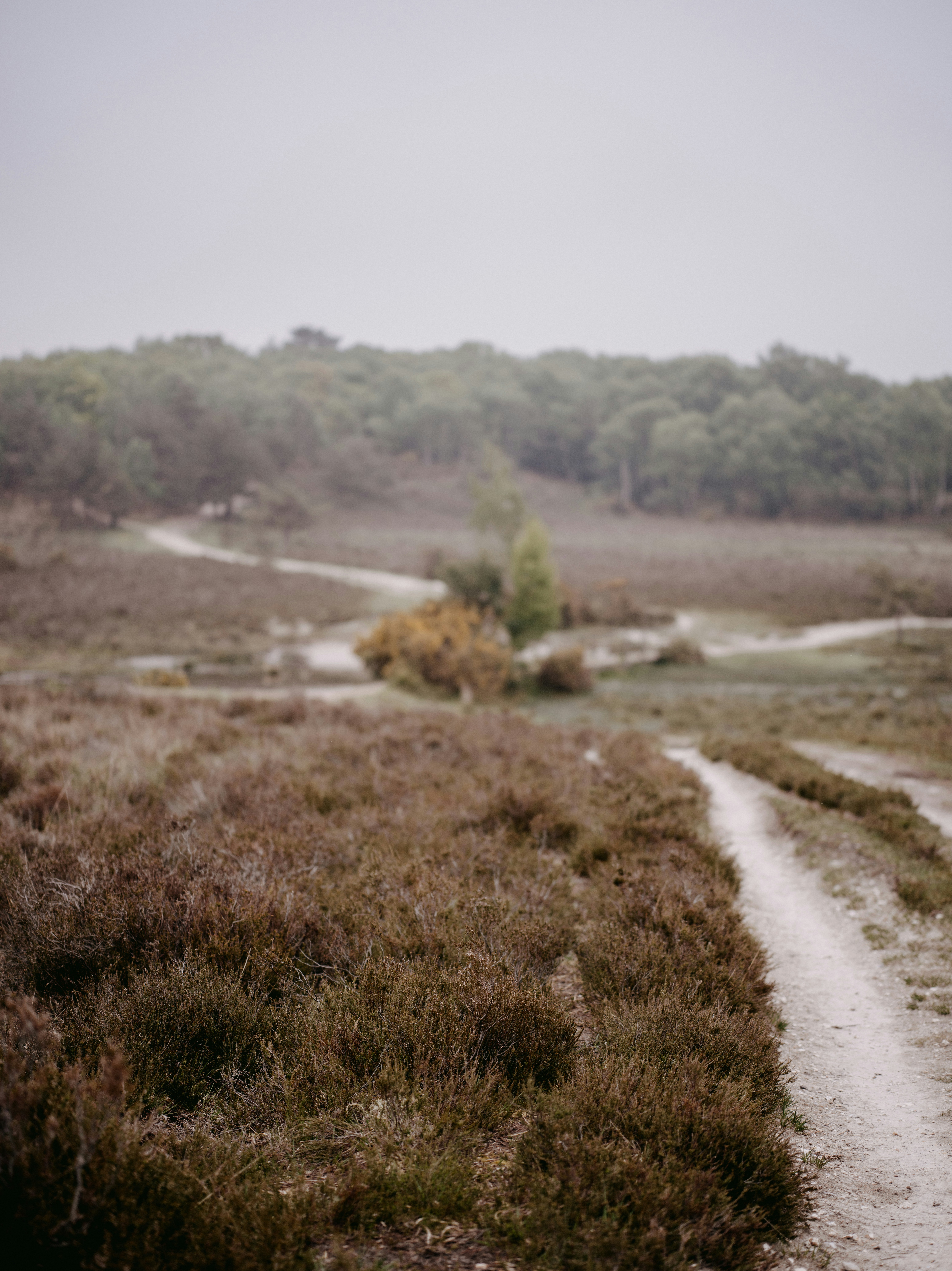 Photo by anniespratt