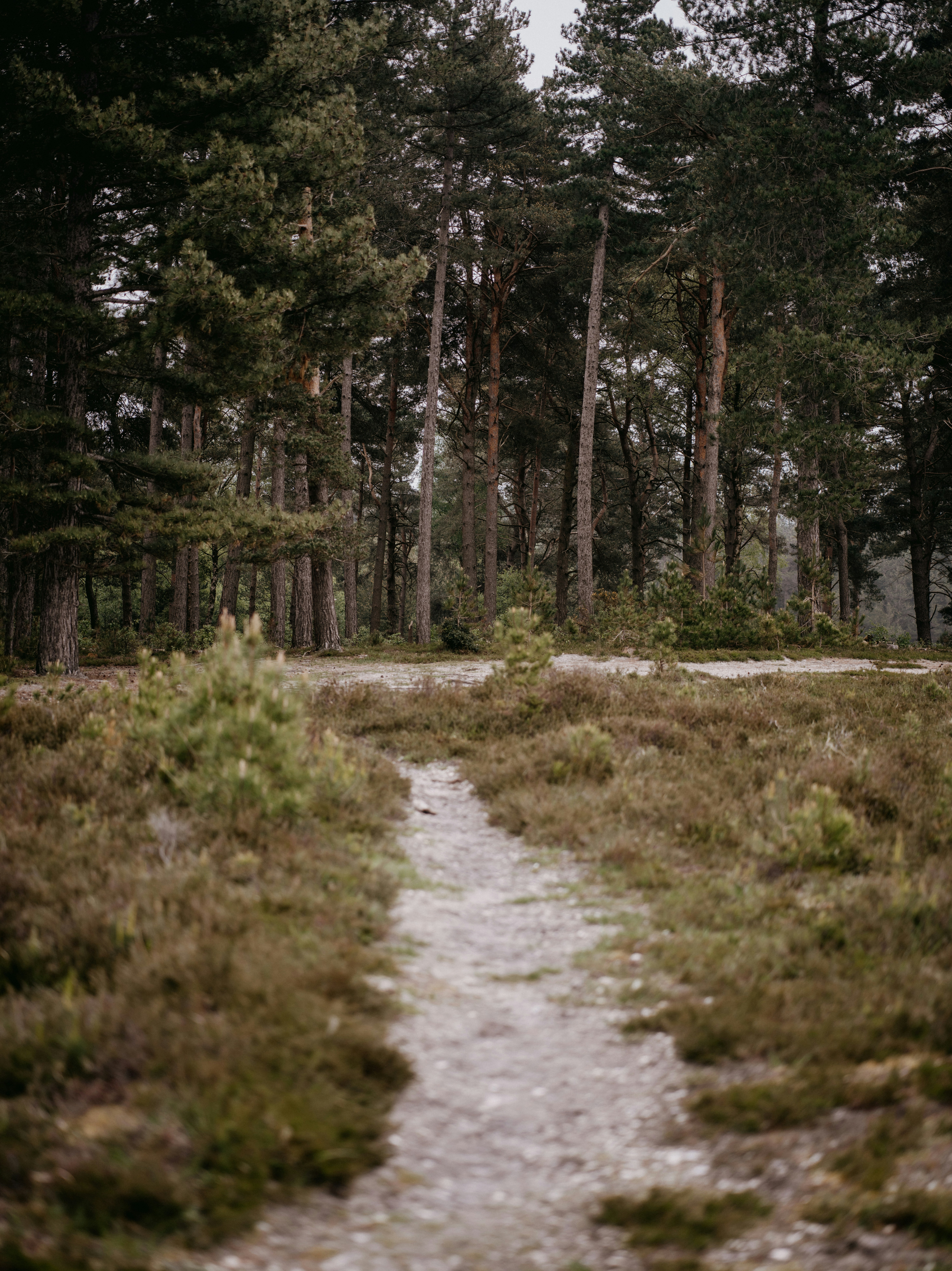 Photo by anniespratt