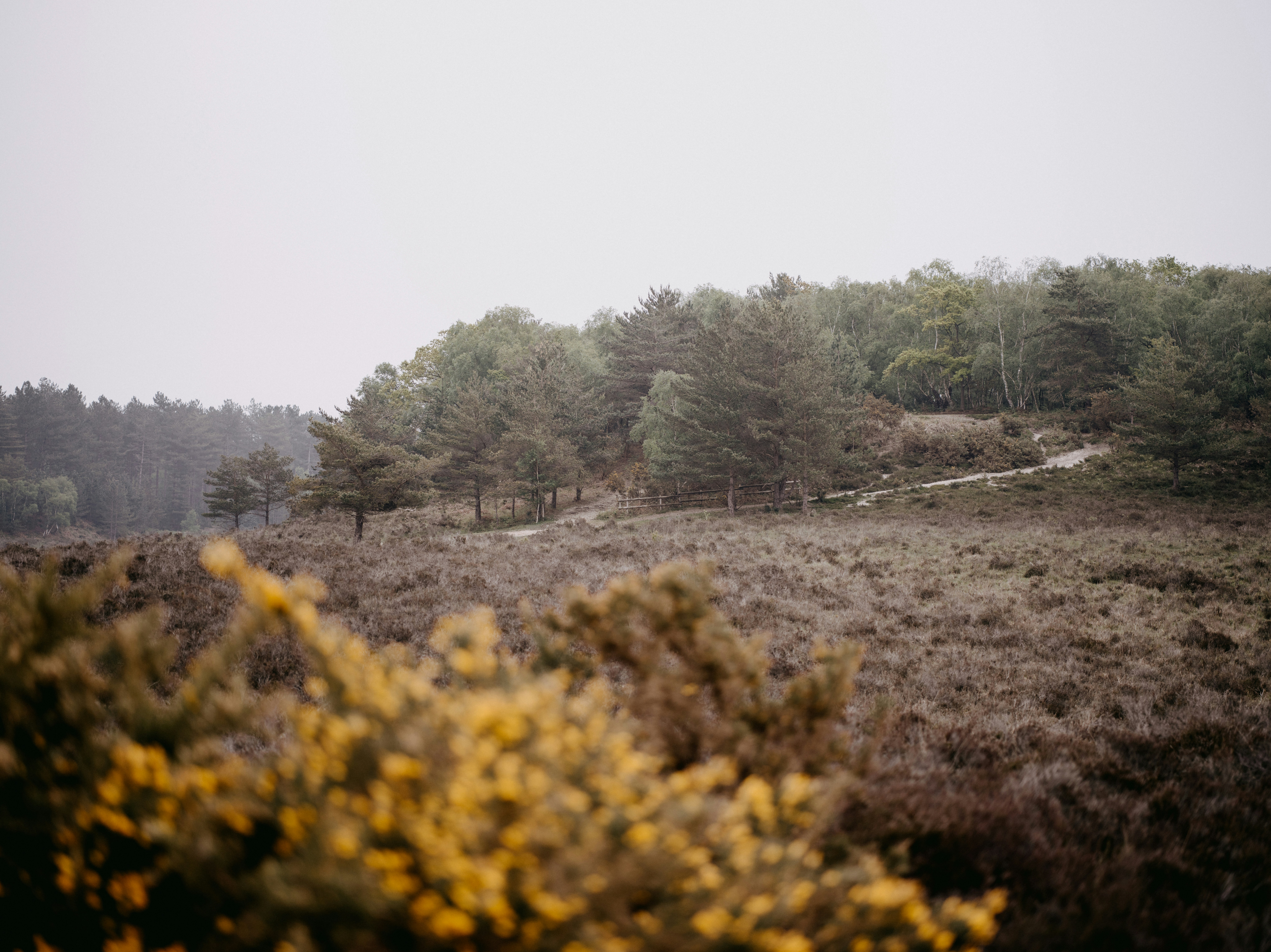 Photo by anniespratt