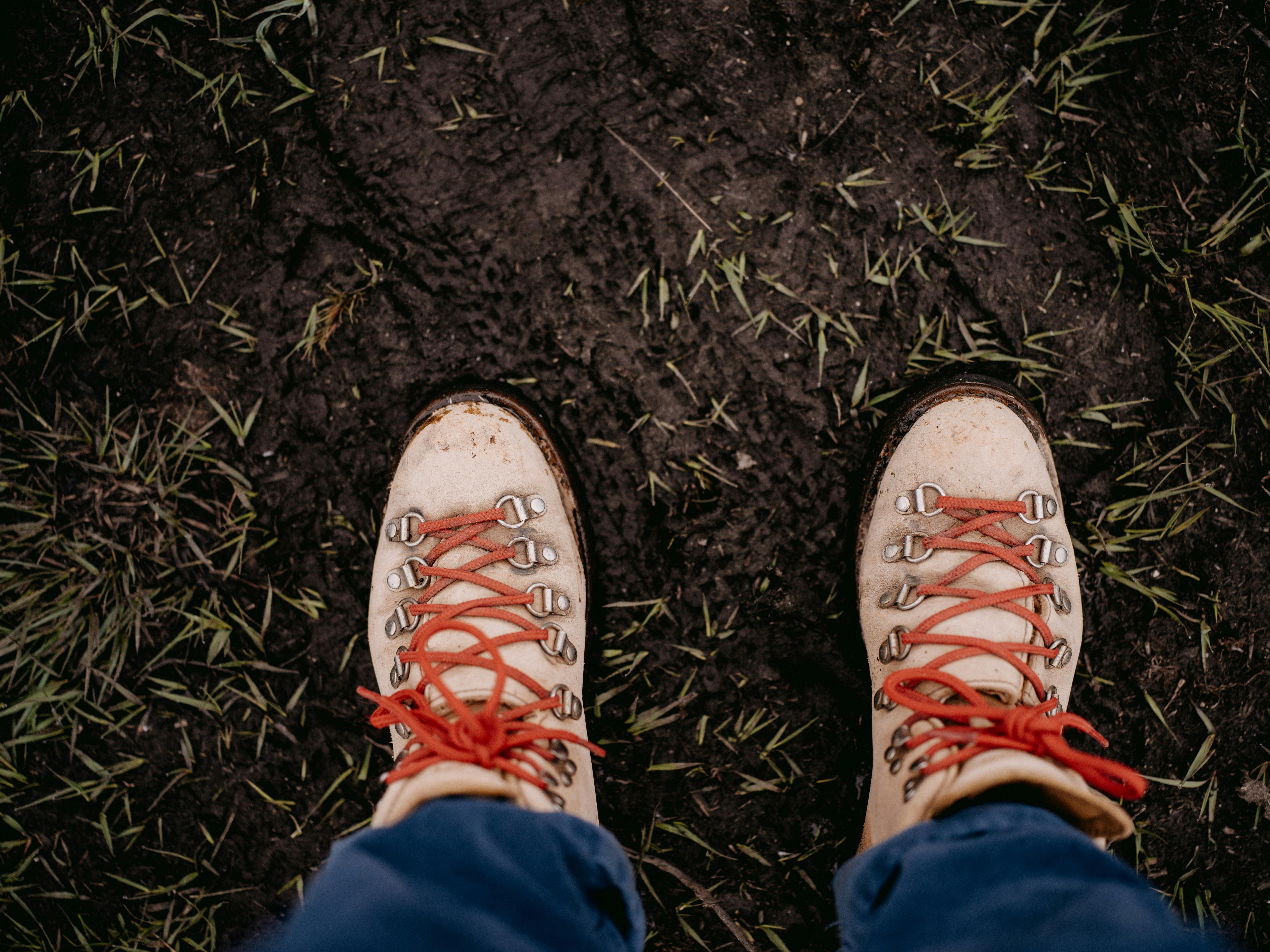 Photo by anniespratt