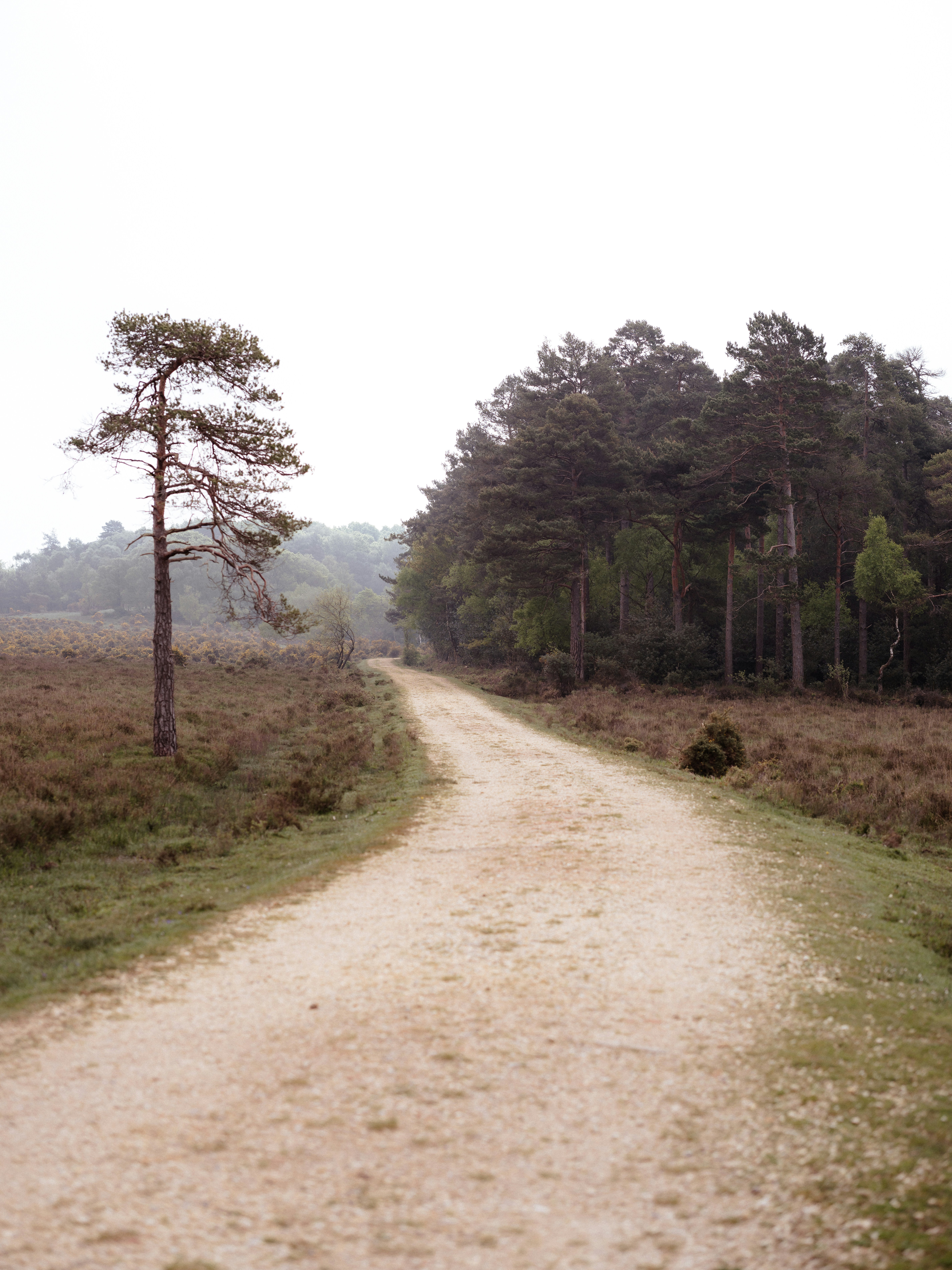 Photo by anniespratt